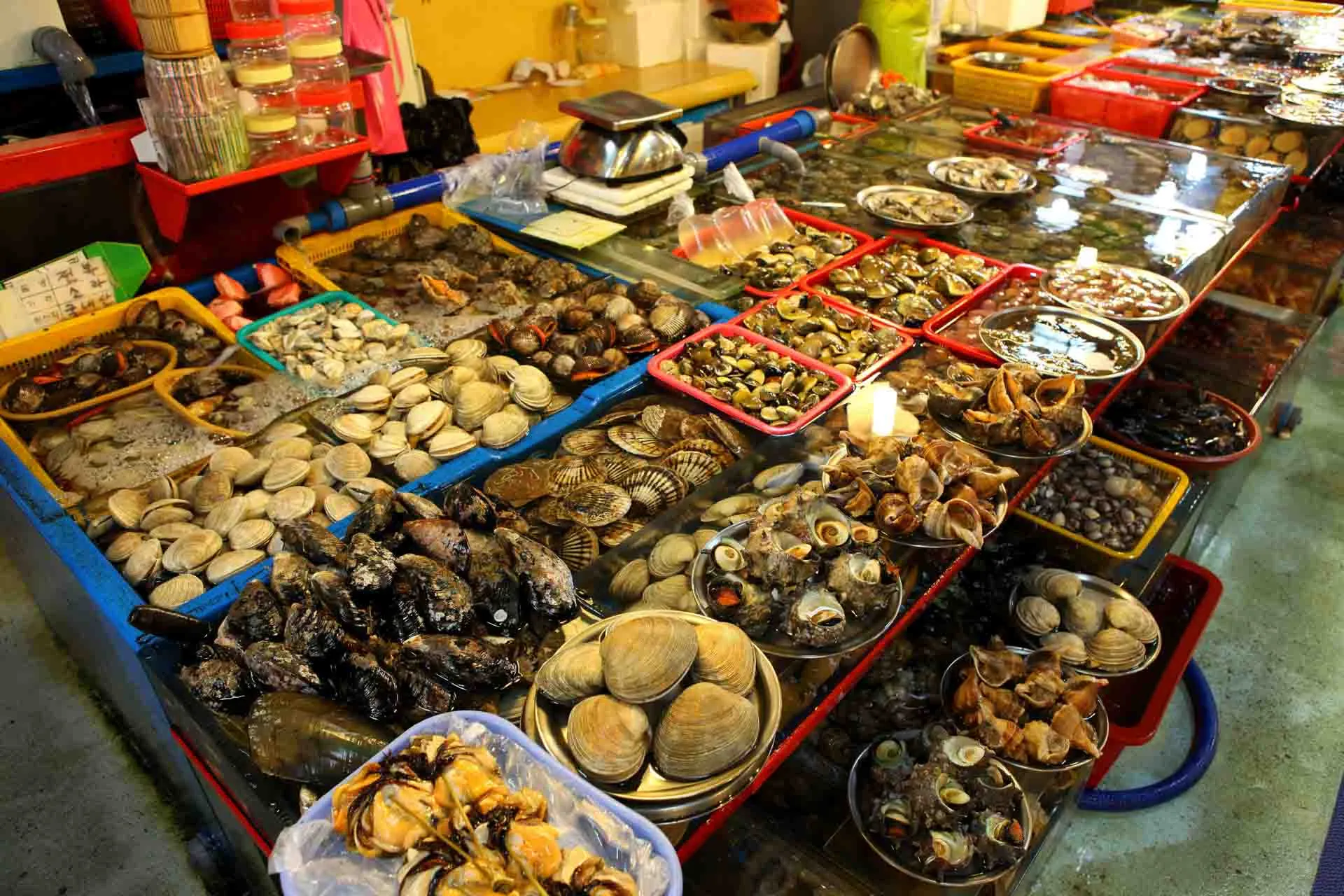 Skaldyrsboder på Jagalchi Fiskemarked i Busan Skaldyrsboder på Jagalchi Fiskemarked i Busan