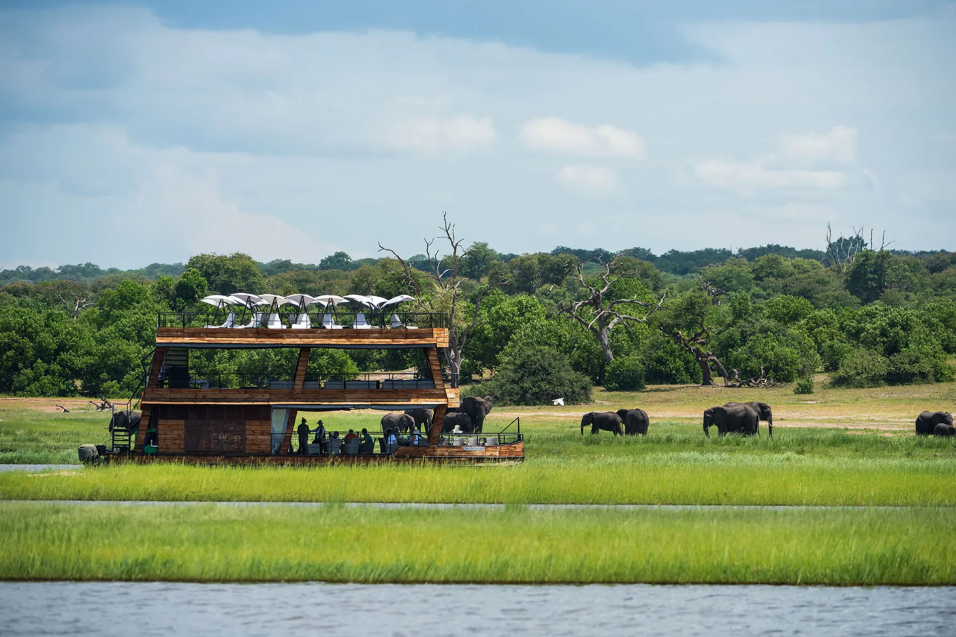 Fra båden studeres de græsssende elefanter på bredden