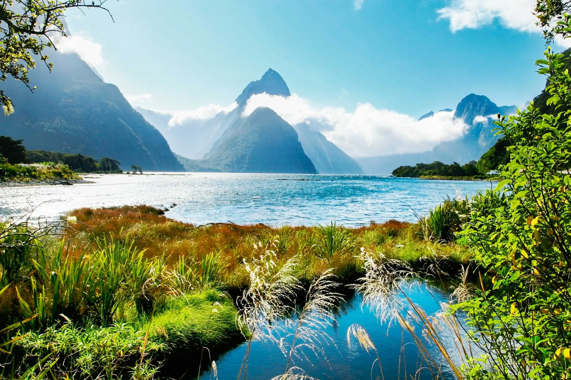 Milford Sound i Fiordland National Park med Mitre Peak i baggrunden