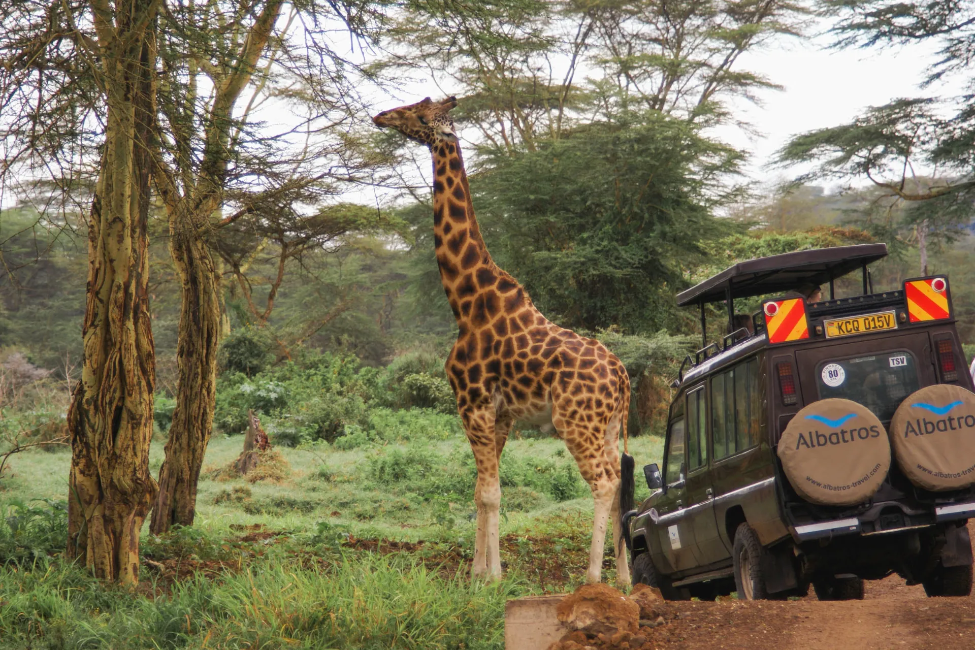 Man kommer tæt på dyrene Man kommer tæt på dyrene