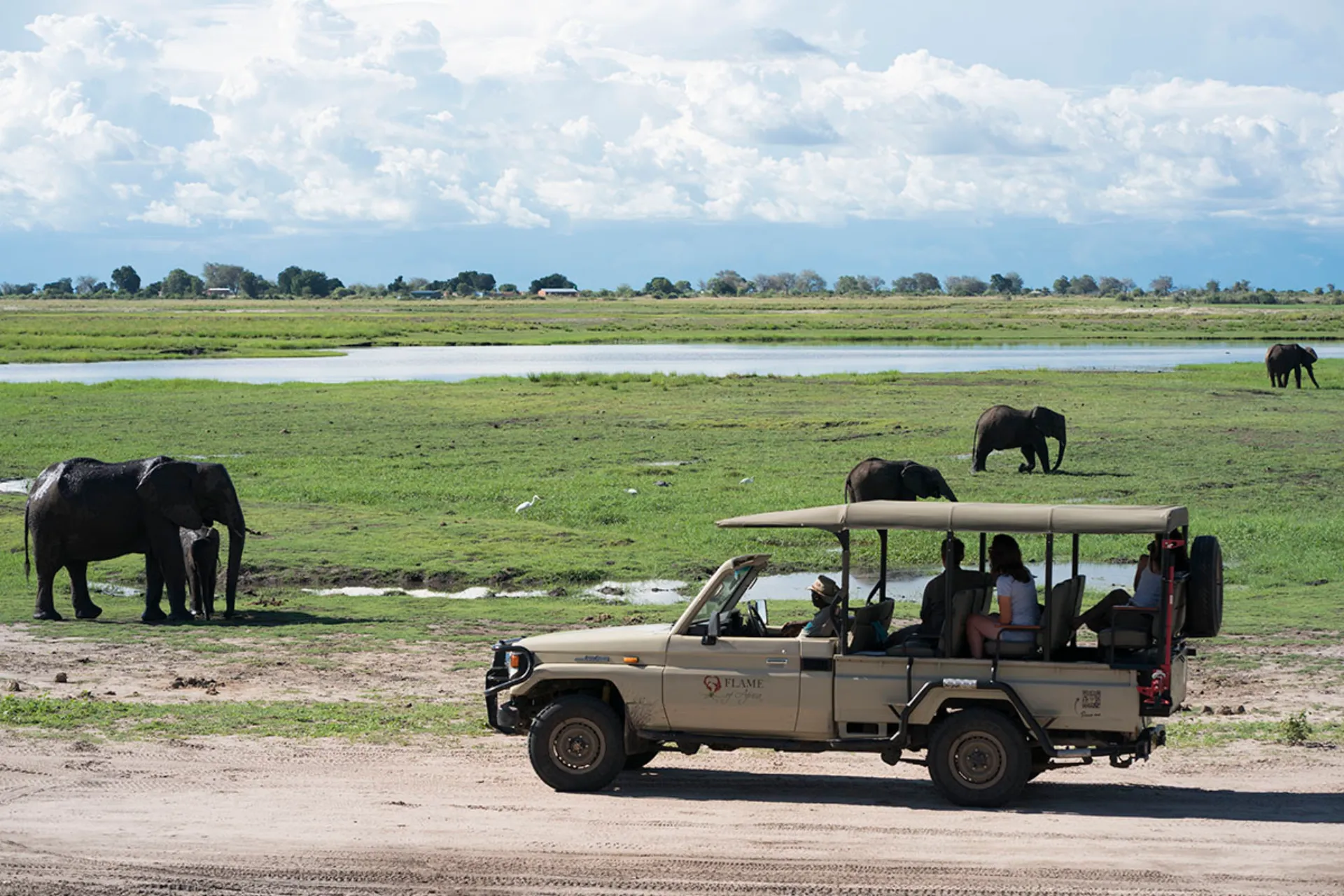 Elefanter, elefanter, elefanter… Elefanter, elefanter, elefanter…