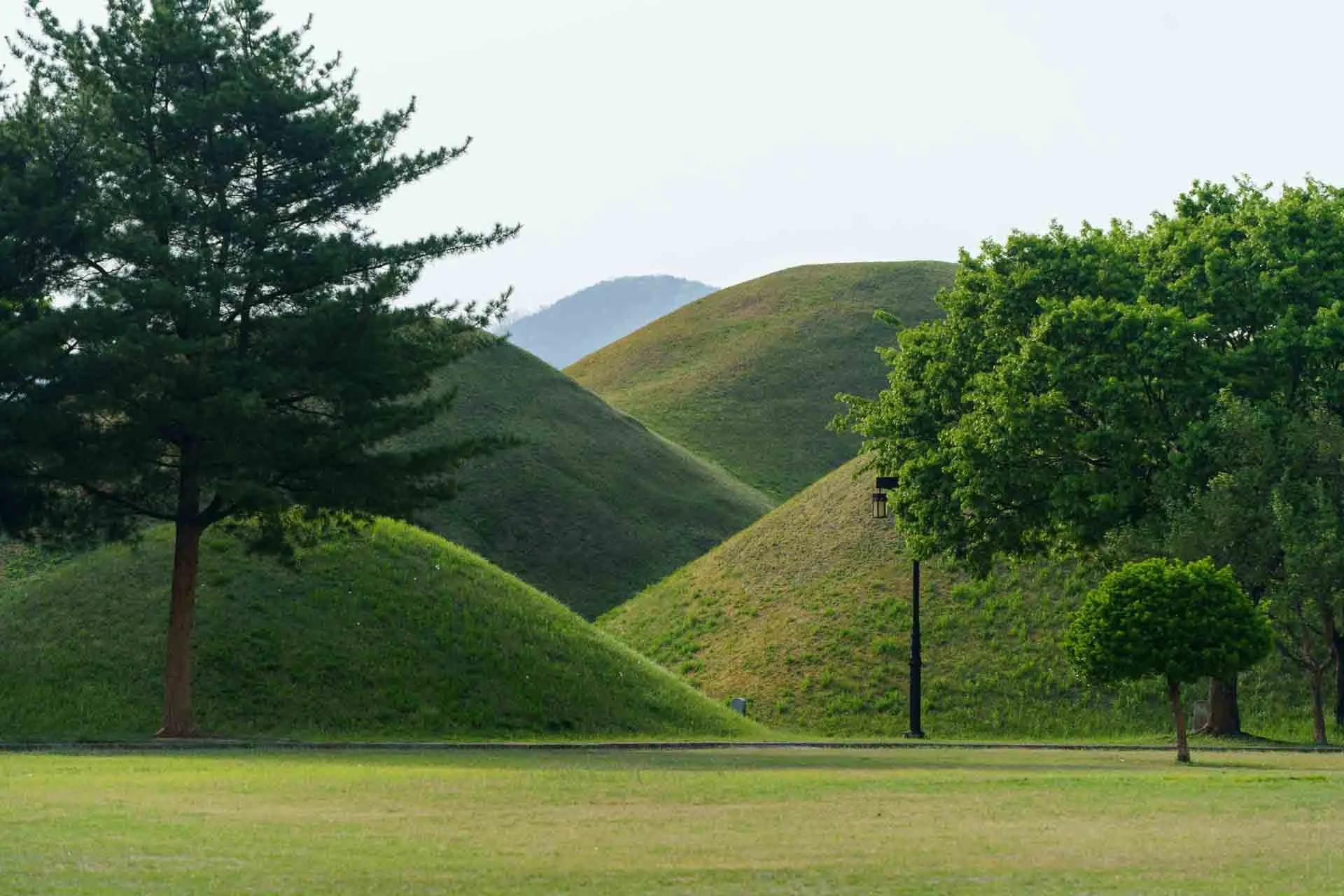 De imponerende græsklædte gravhøje i Daereungwon Gravkomplekset i Gyeongju De imponerende græsklædte gravhøje i Daereungwon Gravkomplekset i Gyeongju