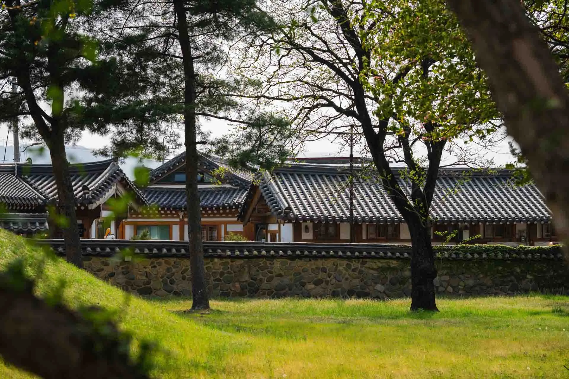 Daereungwon Gravkomplekset i Gyeongju Daereungwon Gravkomplekset i Gyeongju