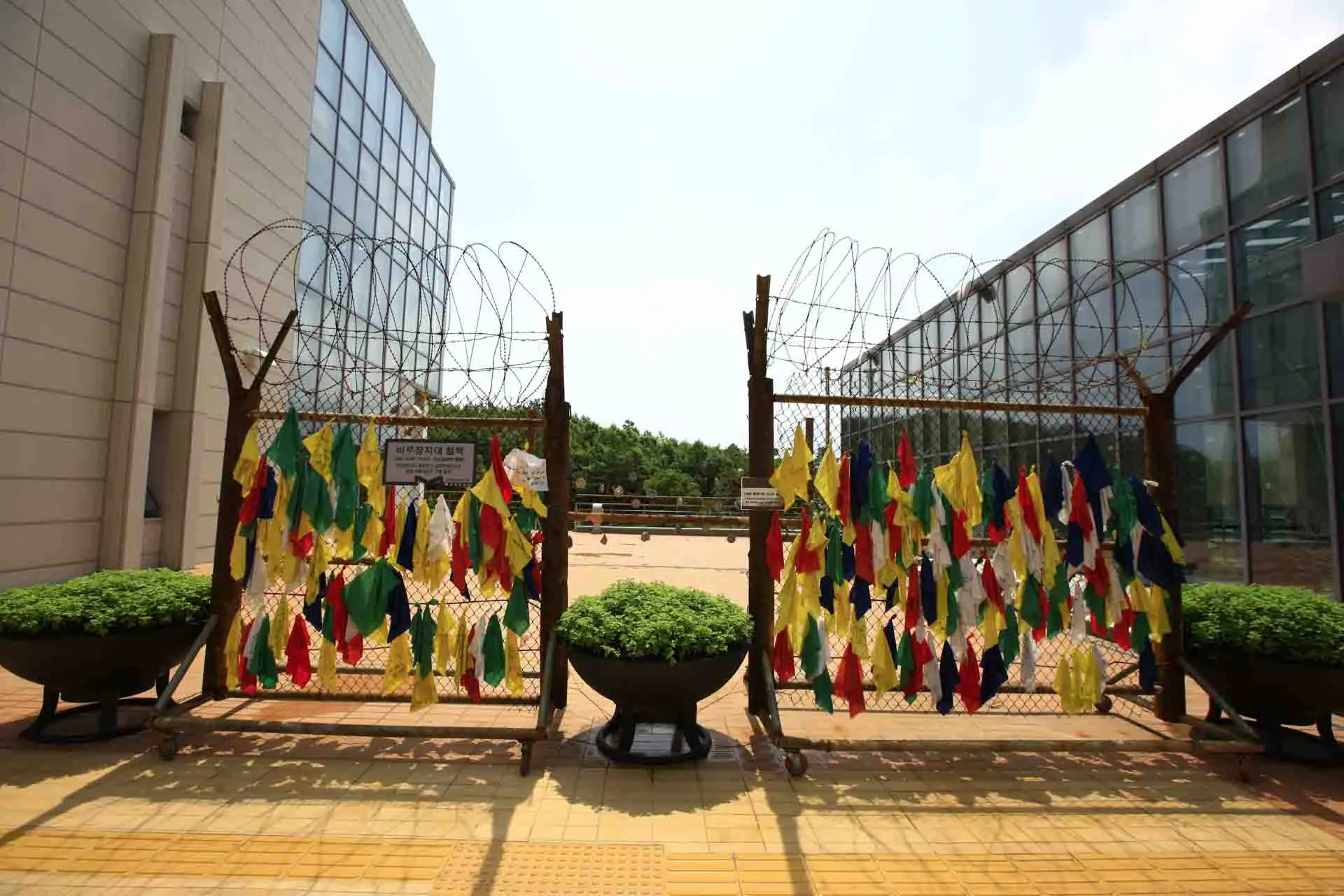 DMZ – farverige bånd hængt på hegnet symboliserer ønsker om fred og genforening mellem Nord- og Sydkorea DMZ – farverige bånd hængt på hegnet symboliserer ønsker om fred og genforening mellem Nord- og Sydkorea