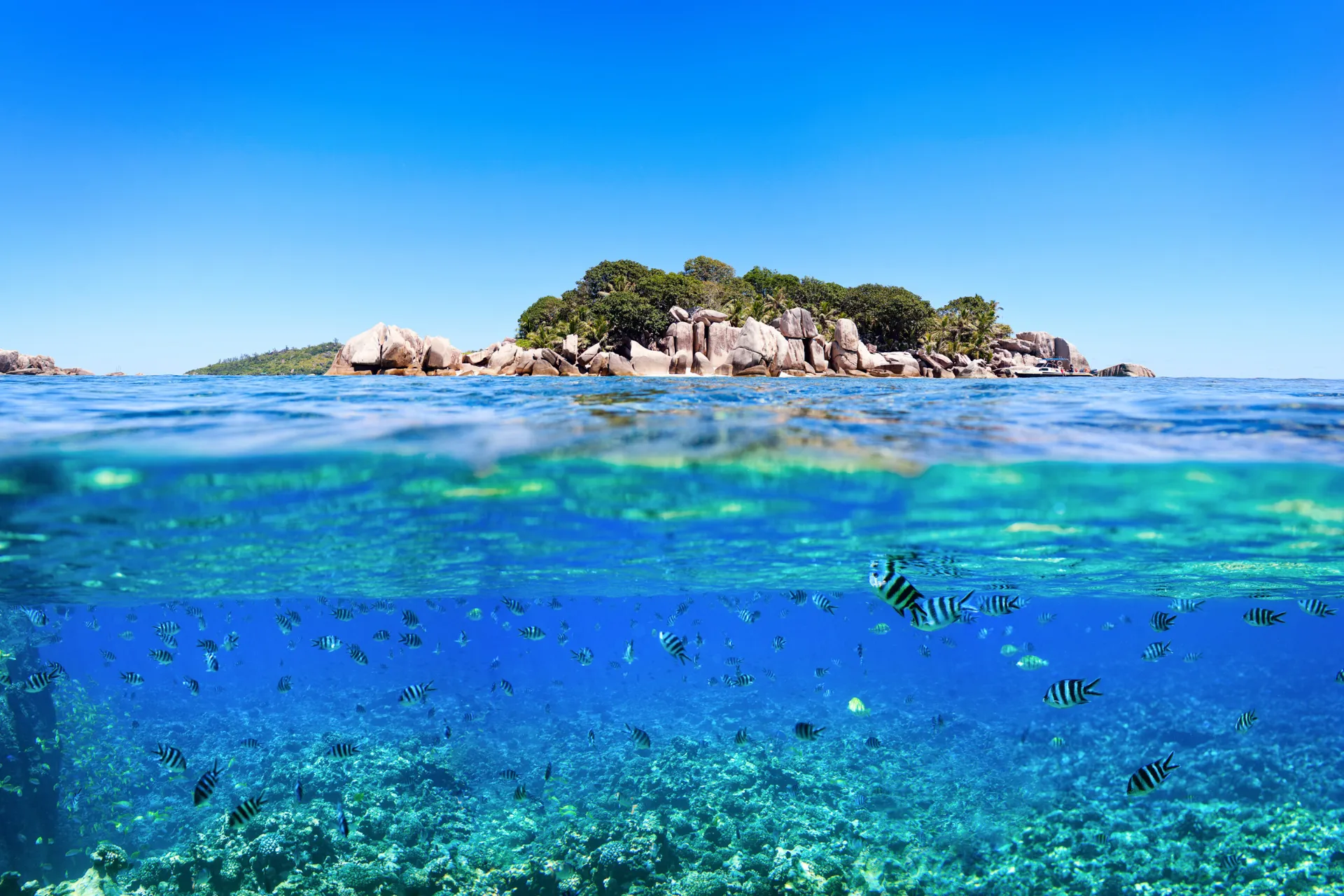 Over og under vandet