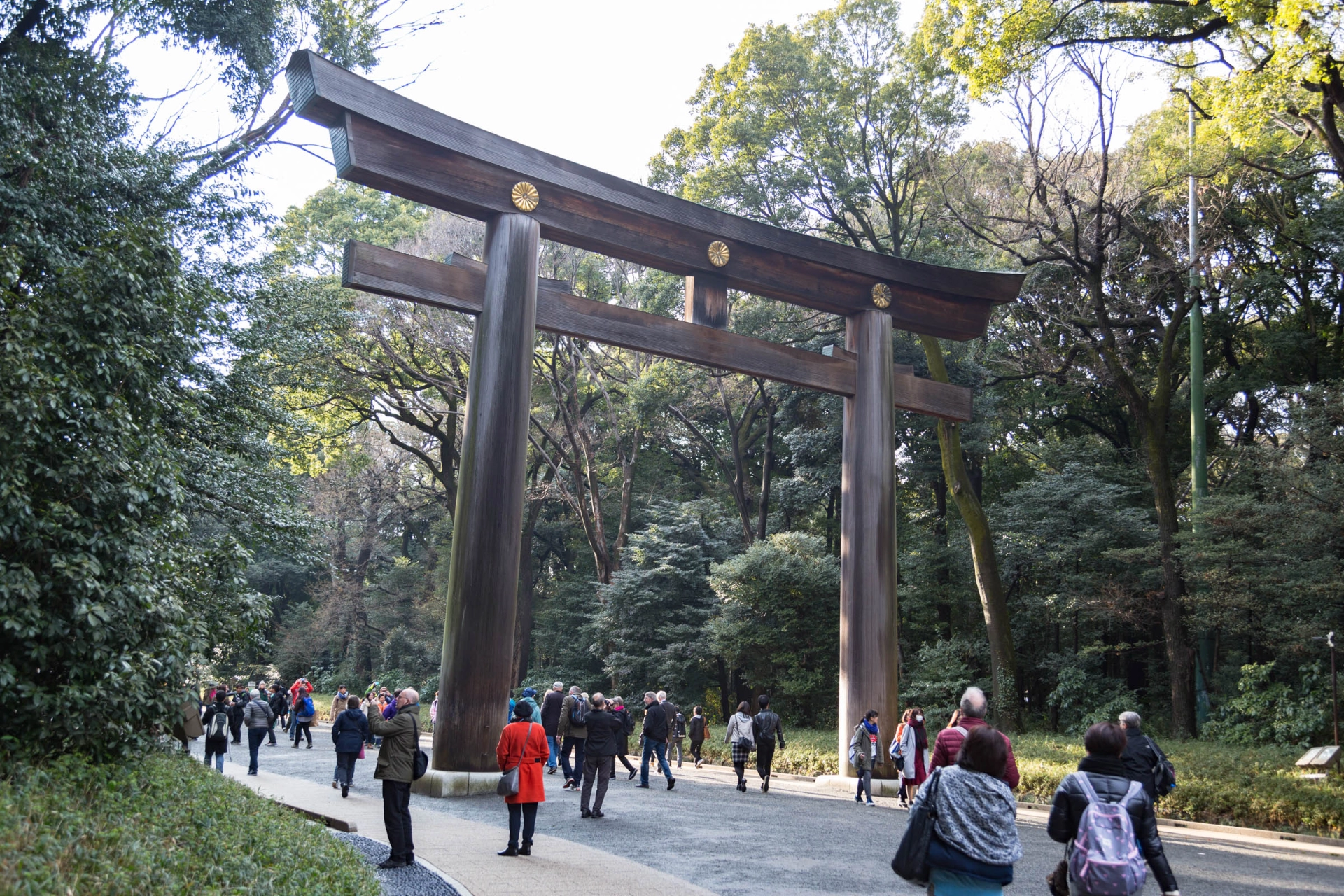 Ved Japans største shintohelligdom, Meiji Jingu