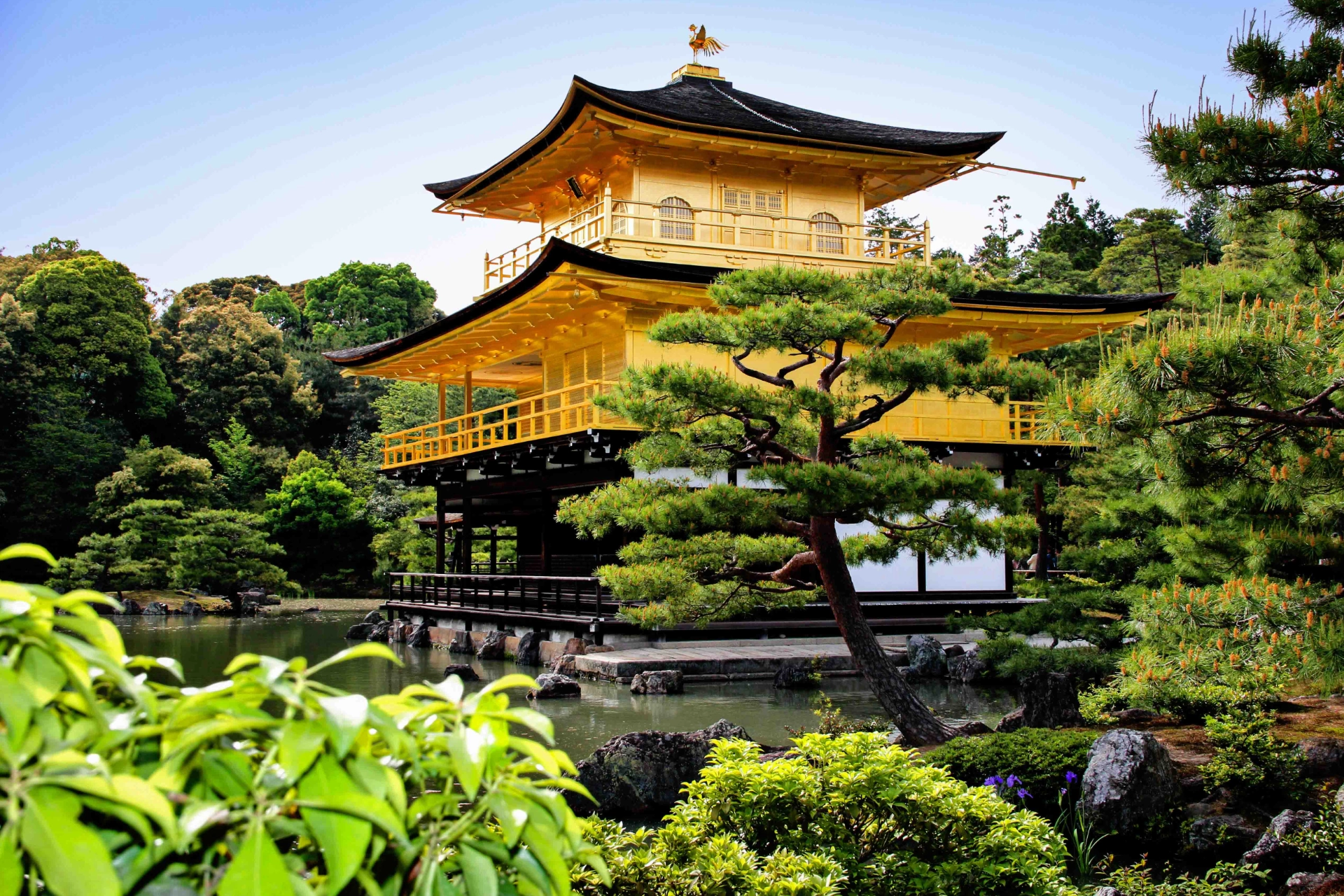 Den berømte Guldpavillon i Kyoto