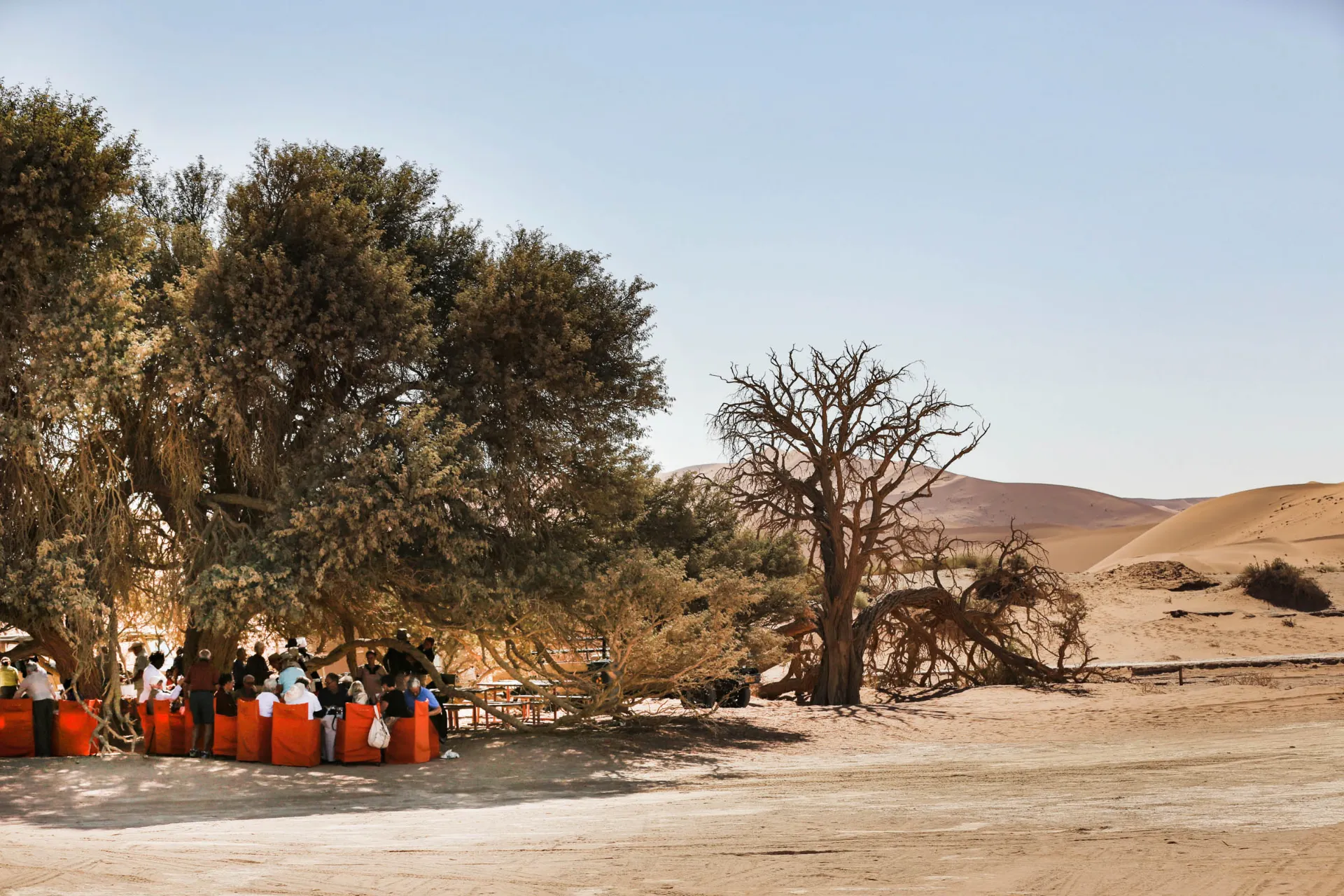 Morgenmad i Sossusvlei Morgenmad i Sossusvlei