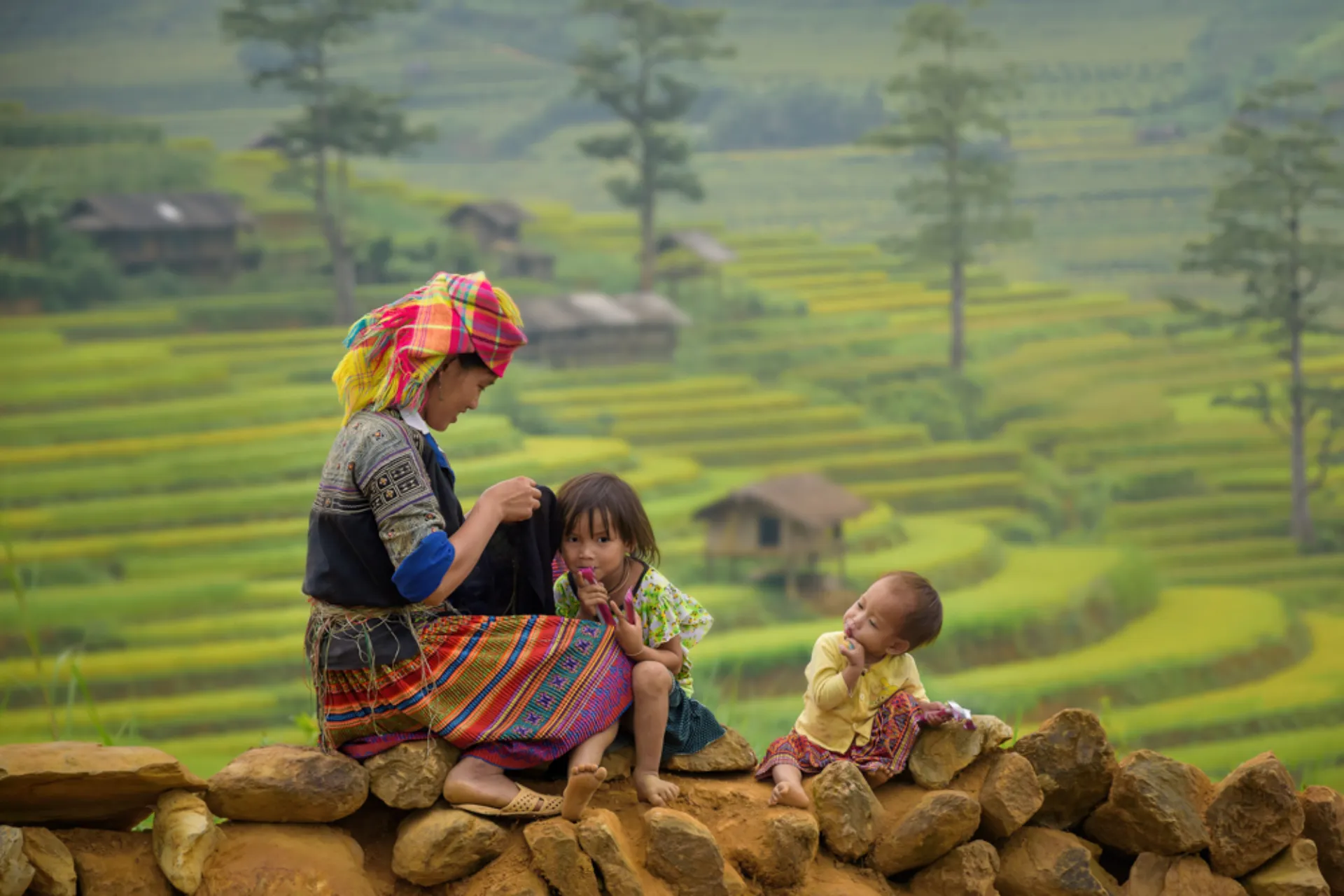 Vietnamesisk familie blandt risterrasser Vietnamesisk familie blandt risterrasser