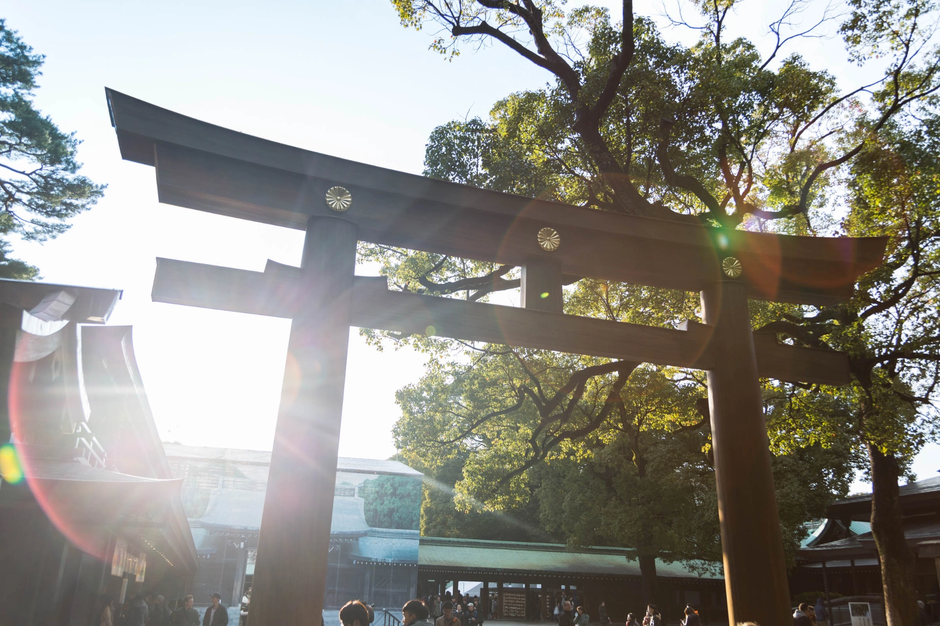 Shintohelligdommen Mejii Jingu 