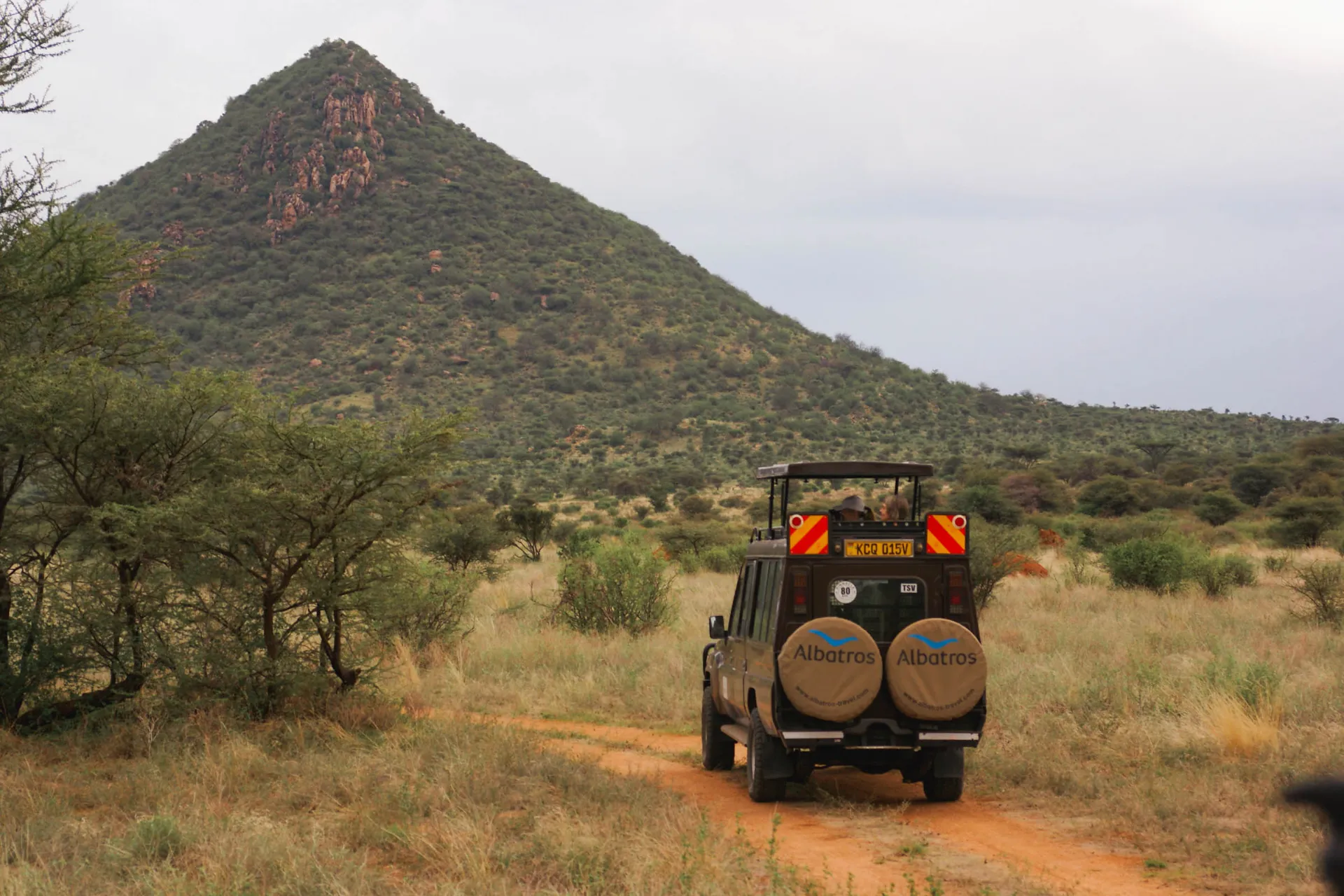 Albatros' safarijeep på arbejde Albatros' safarijeep på arbejde