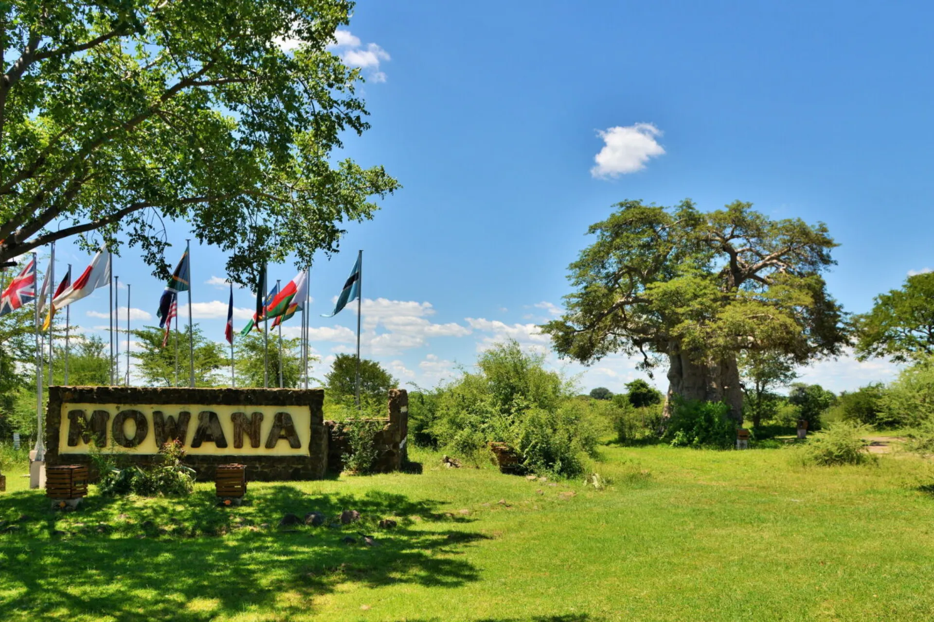 Indgangen til Mowana Lodge med et markant baobabtræ i baggrunden Indgangen til Mowana Lodge med et markant baobabtræ i baggrunden