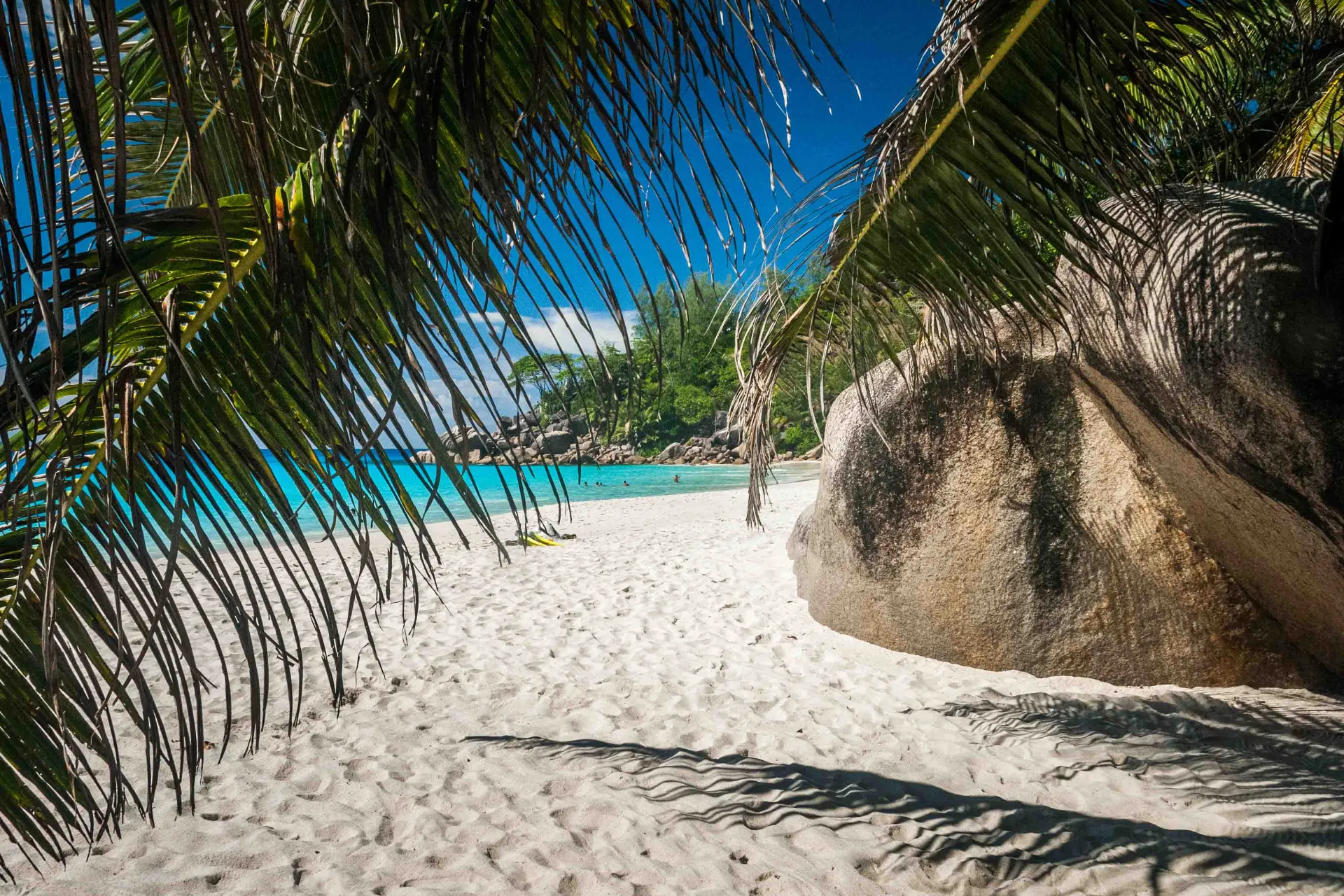 Palmer, klipper, sand og vand