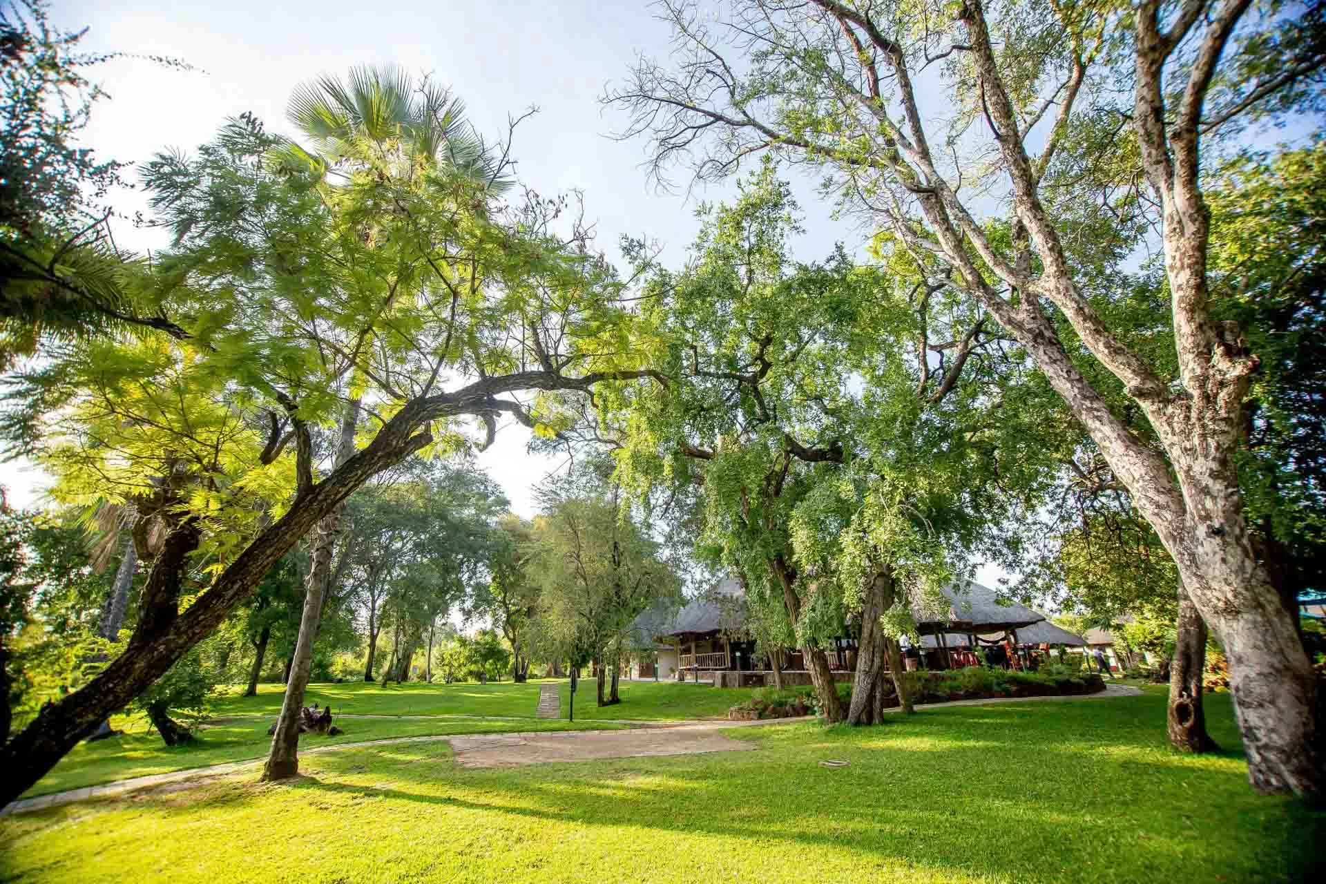 Parkområde ved A’Zambezi River Lodge
