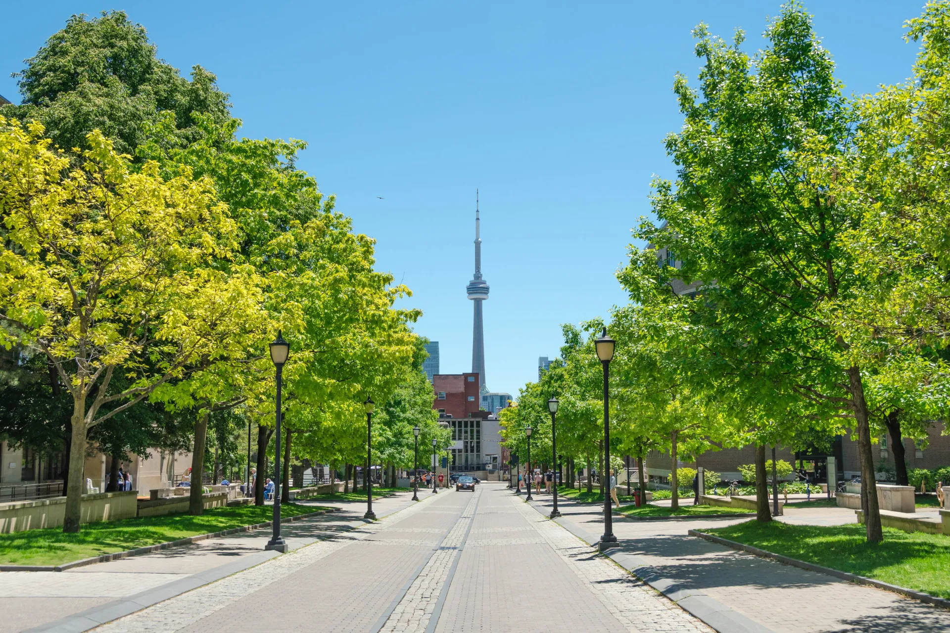 Velholdt allé med CN Tower i baggrunden