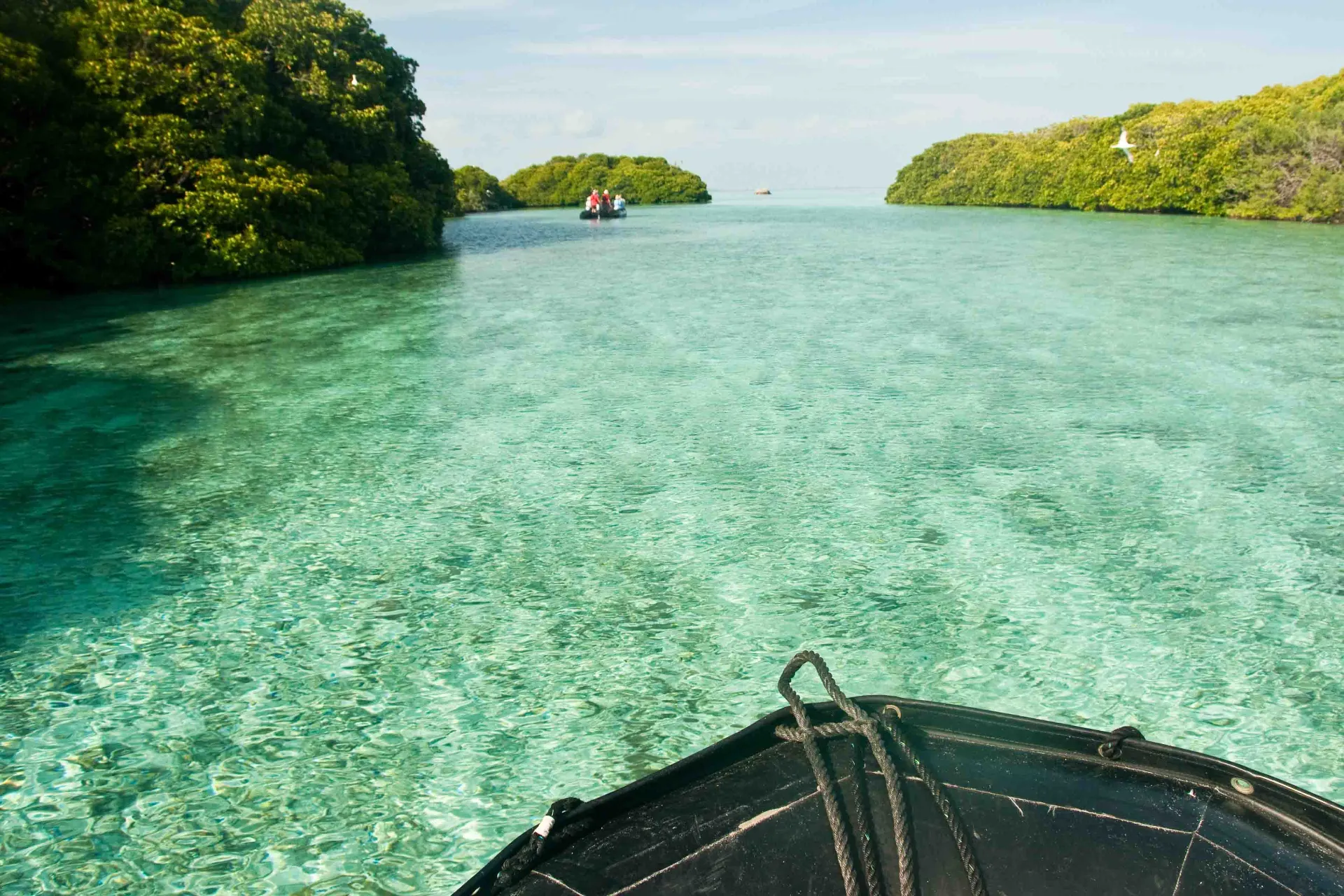 Mangrovelaguner og atolkanaler, hvor havet skifter i alle nuancer af turkis og grønt