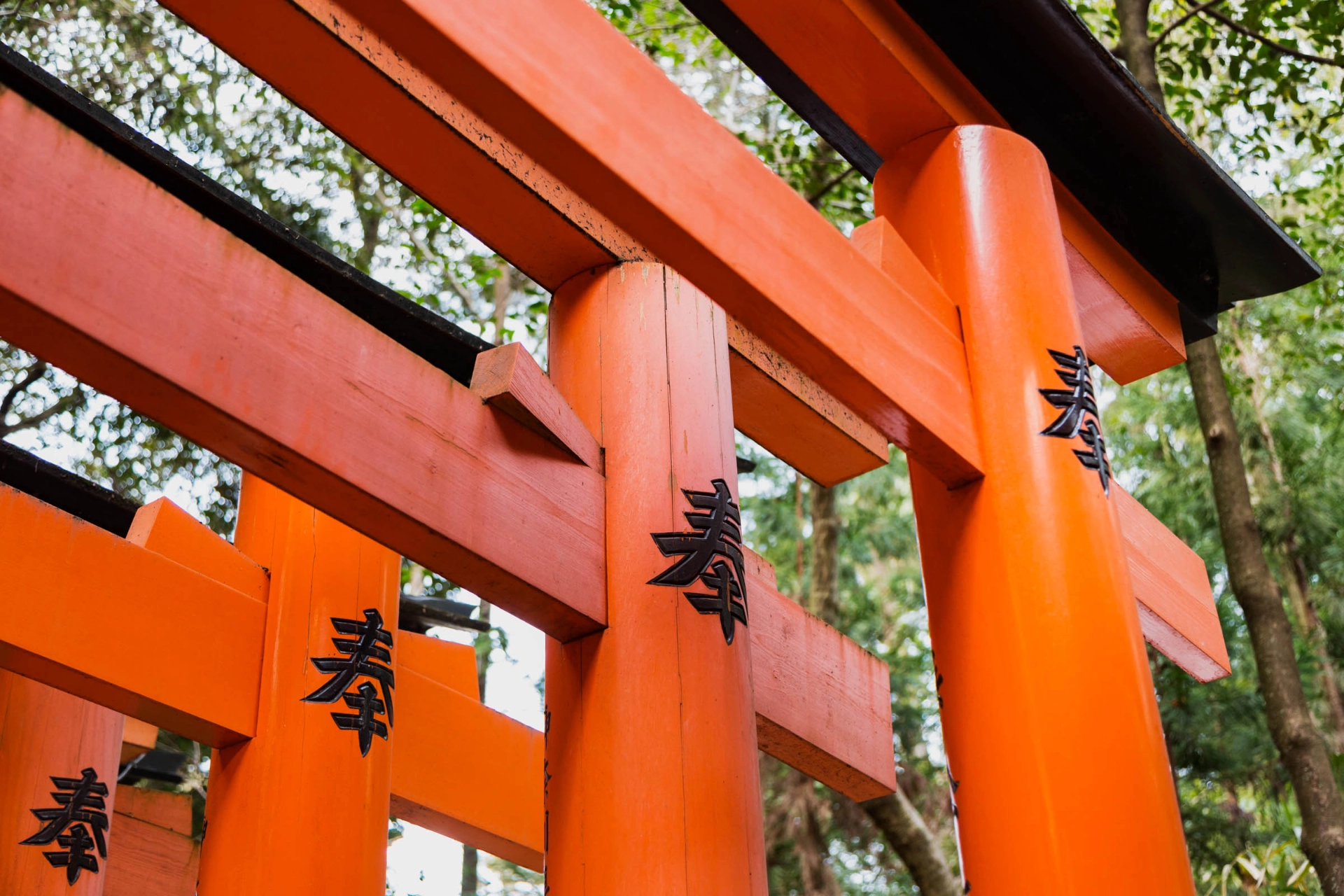 Torii-porte udgør ofte indgangen til shinto helligdomme 