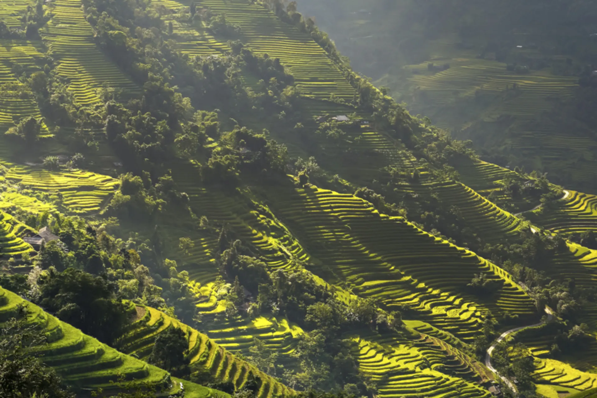 Sollyset falder over de grønne risterrasser i Ha Giang-provinsen Sollyset falder over de grønne risterrasser i Ha Giang-provinsen