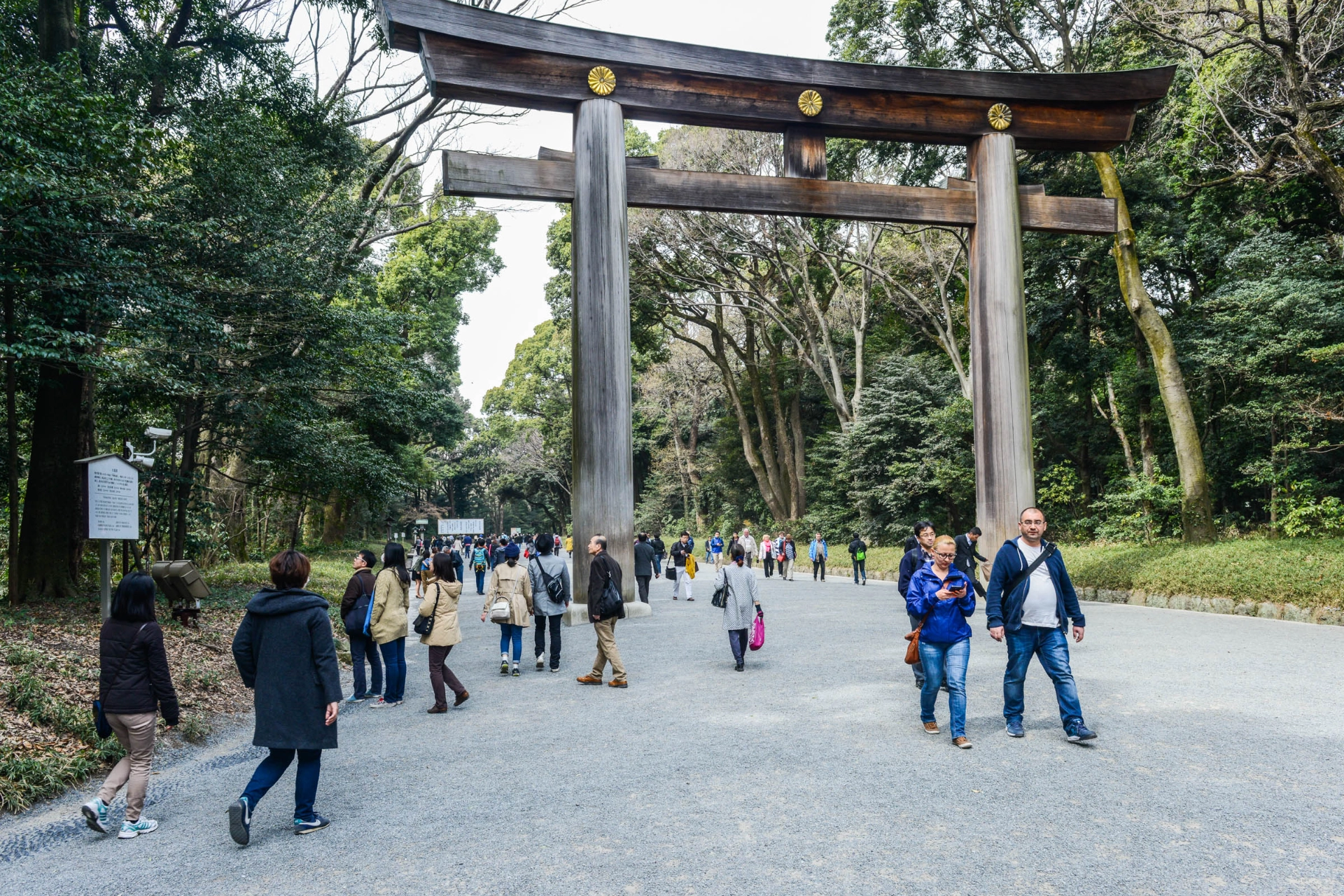 Indgangen til shinto-templet I Meiji Jingu
