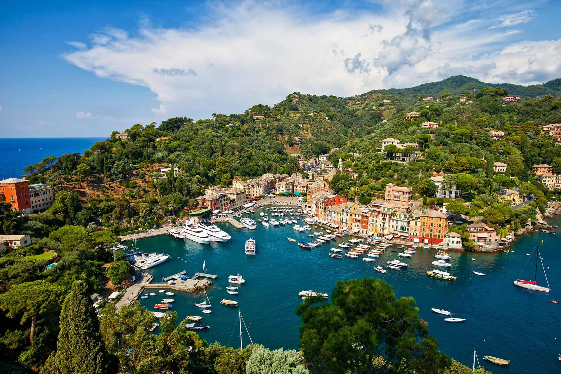 Udsigt over Portofino med lystbådehavn og farverige huse