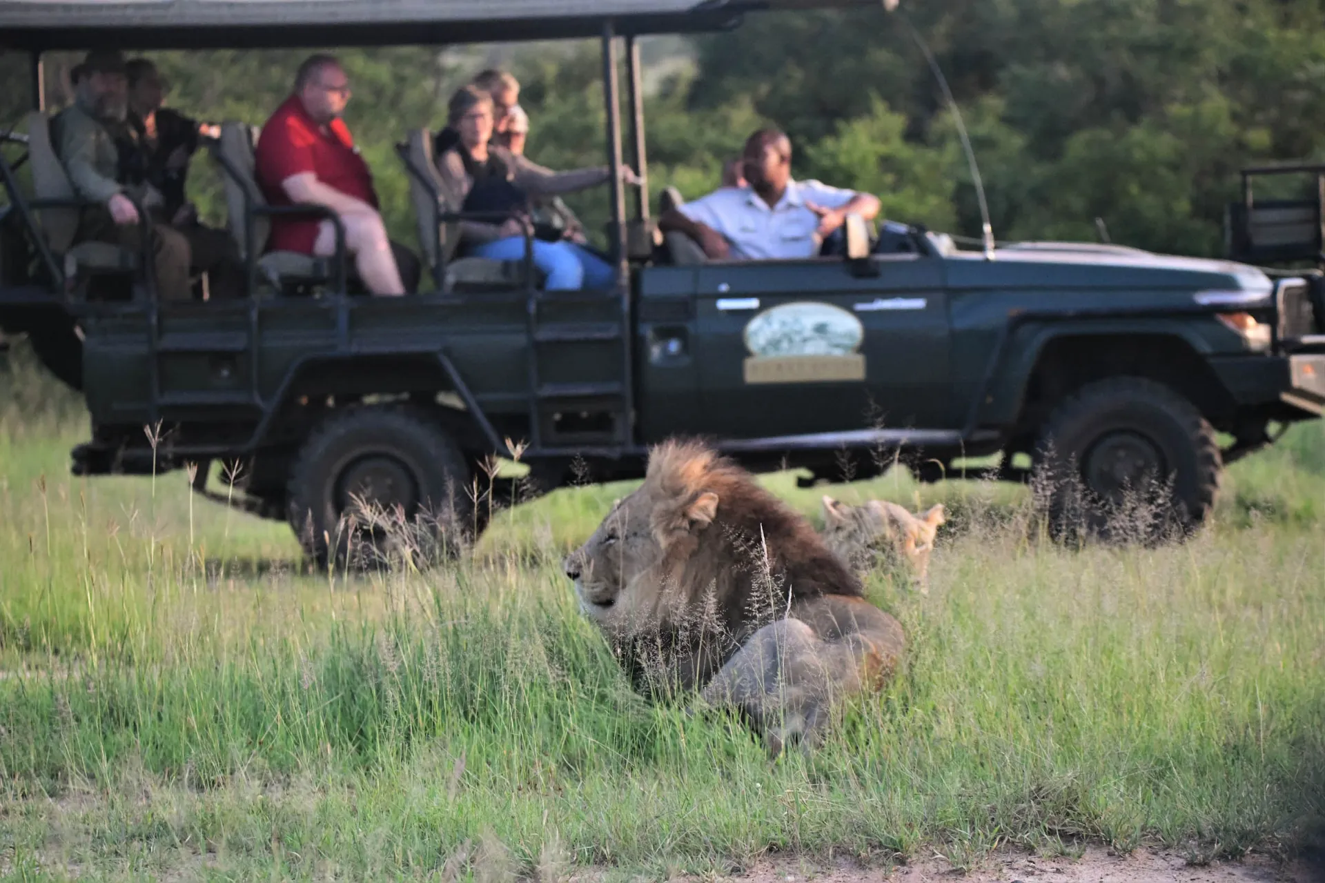 På safari i åben jeep På safari i åben jeep