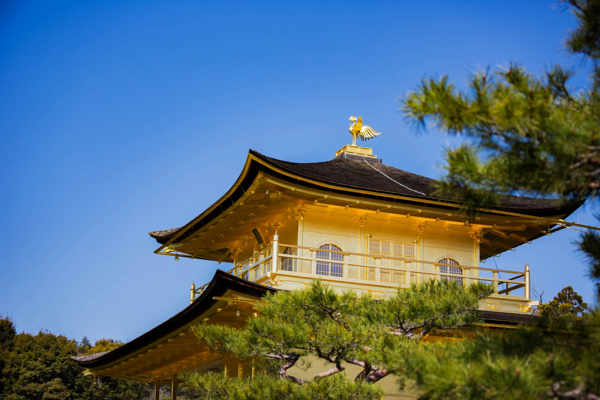 Toppen af det  Zen-buddhistiske Gyldne Tempel