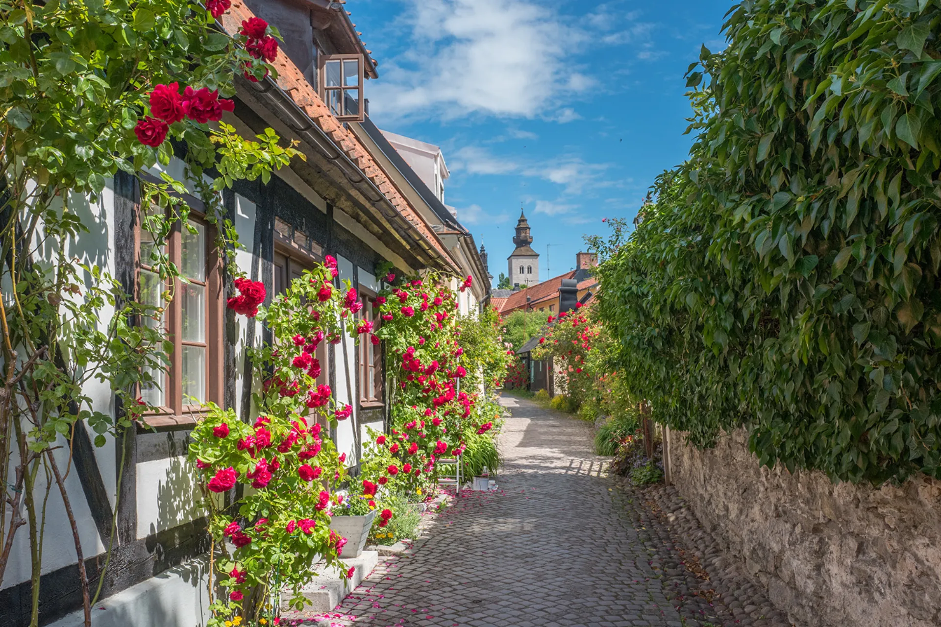 Idyllisk gade i Visby
