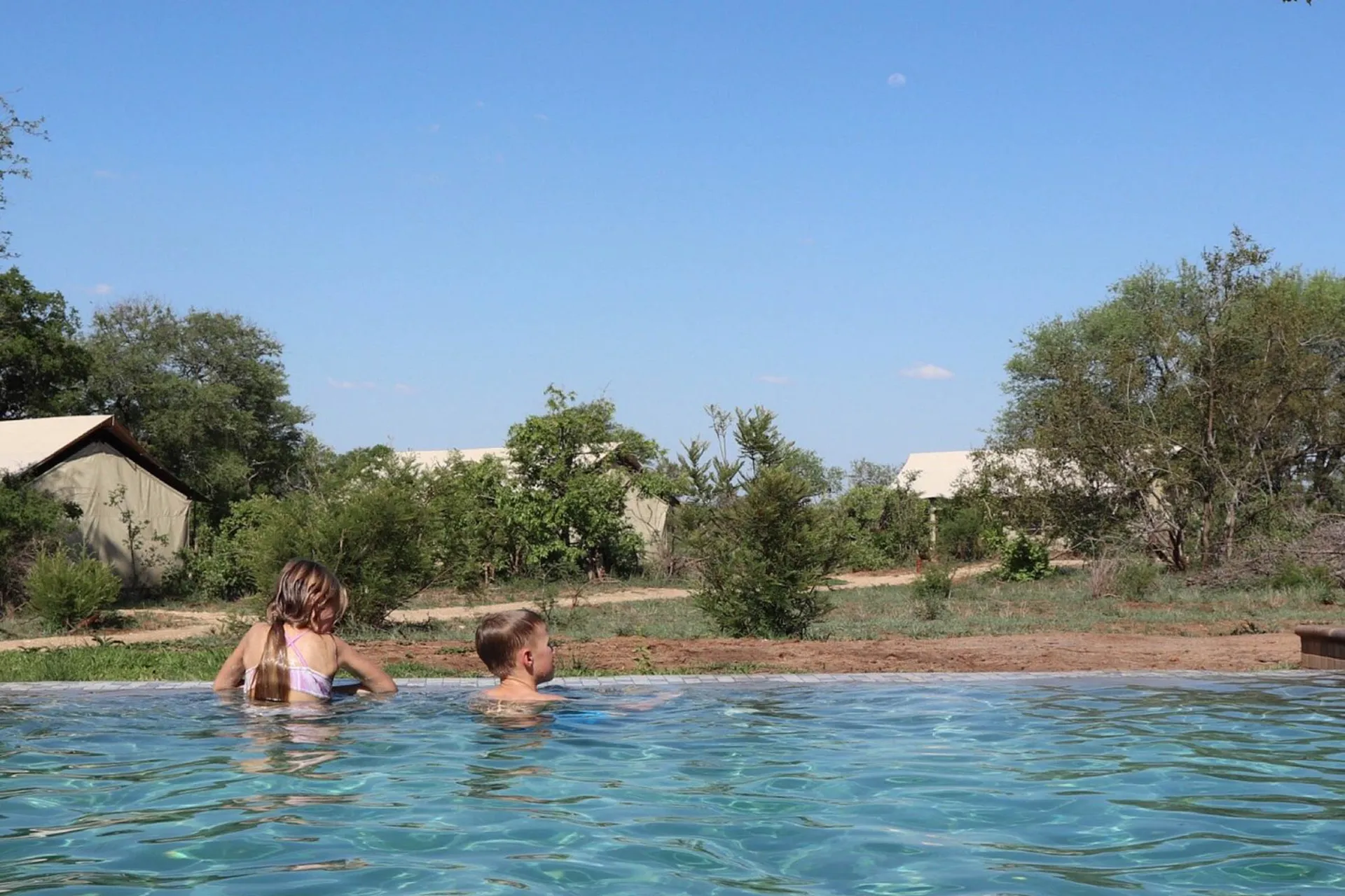 Børn nyder poolen Børn nyder poolen