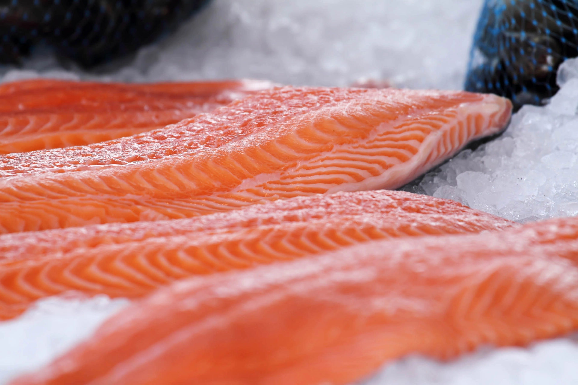 Frisk fisk fra Fisketorget i Bergen