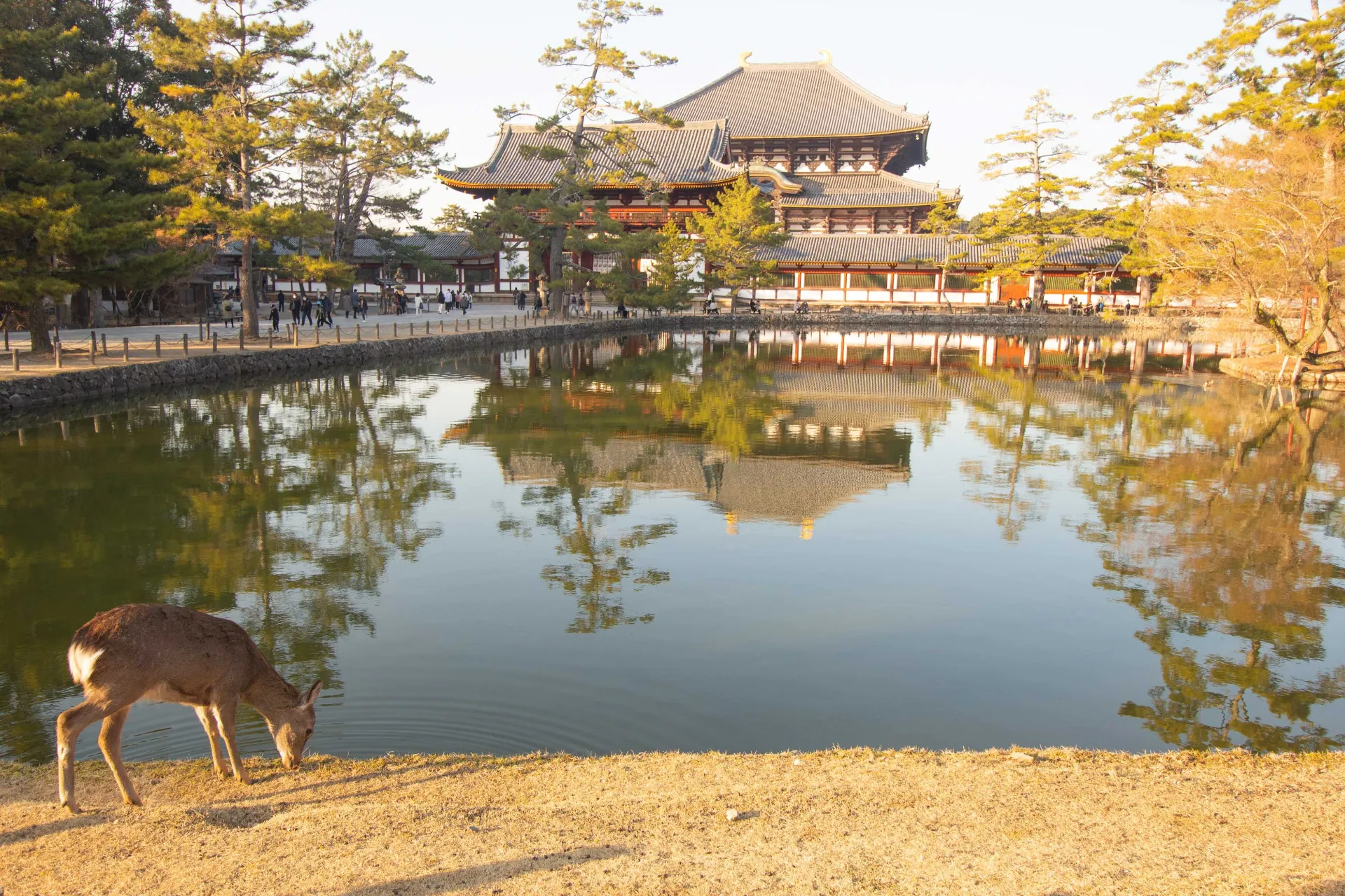 Guldpavillonen i Kyoto Guldpavillonen i Kyoto