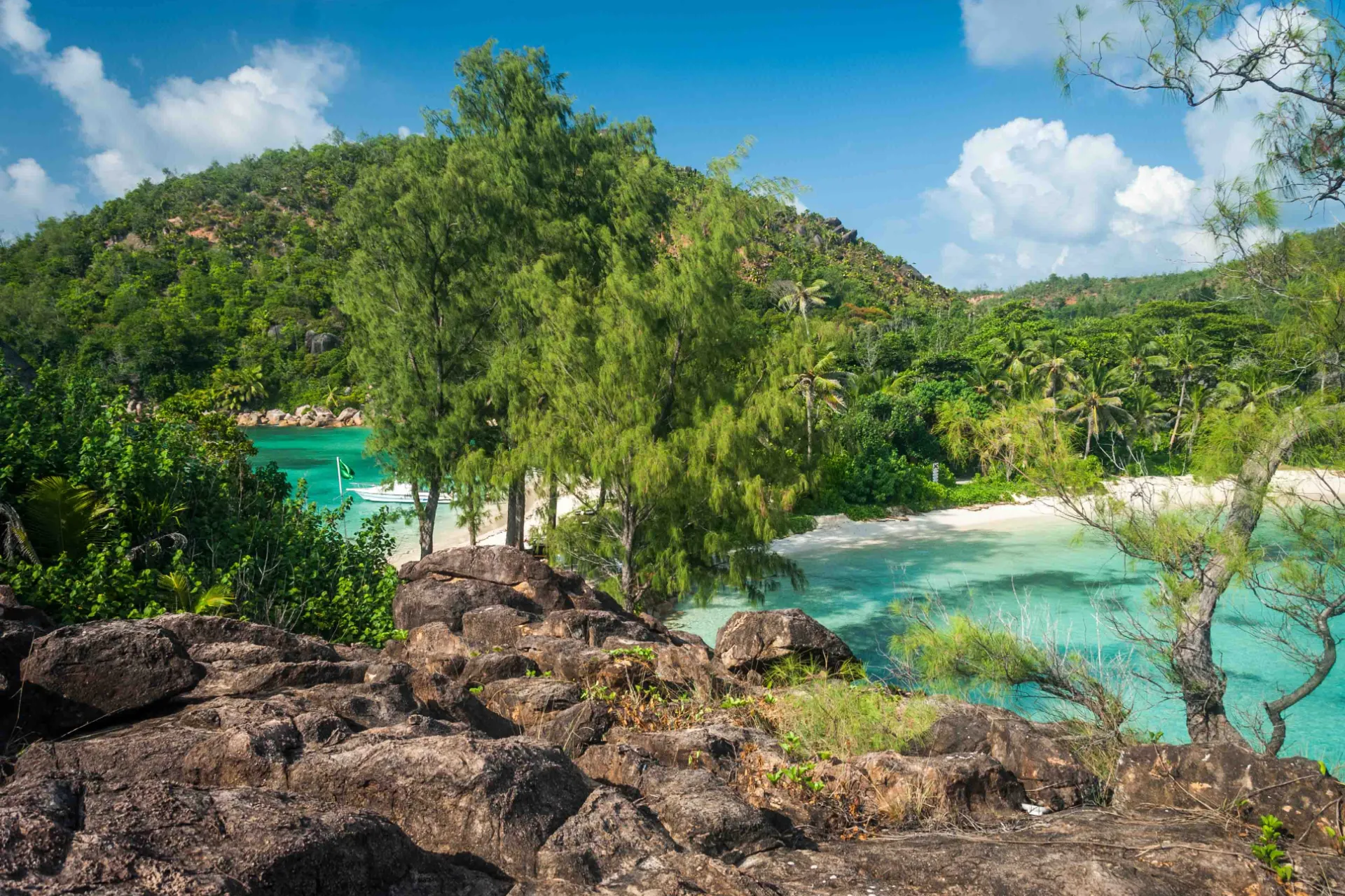 Træer, klipper, sand og vand