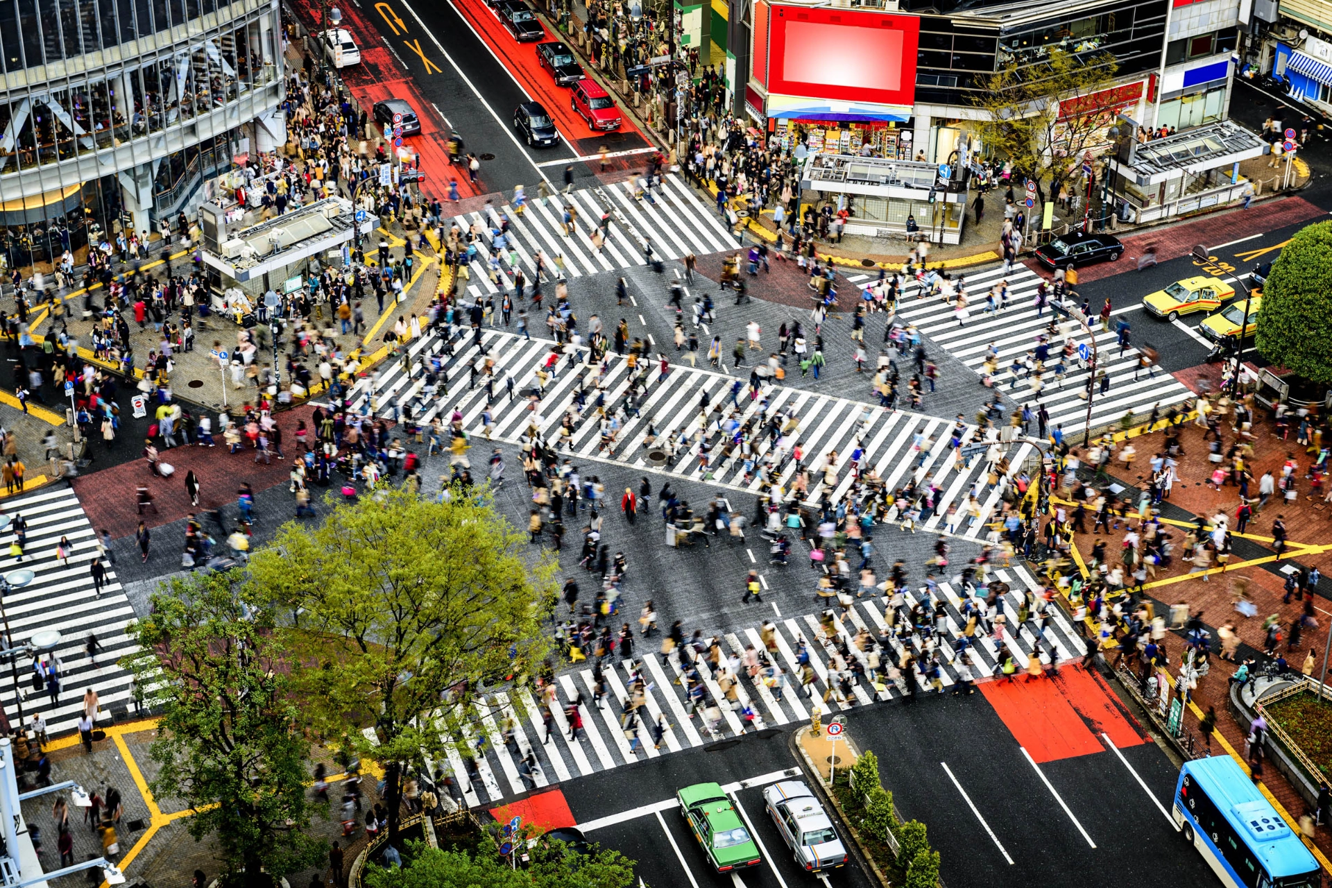 Den berømte fodgængerovergang i Shibuya-distriktet