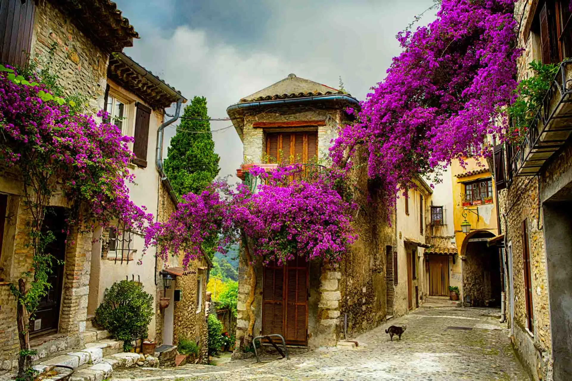 Provence – middelalderlandsby med bougainvillea