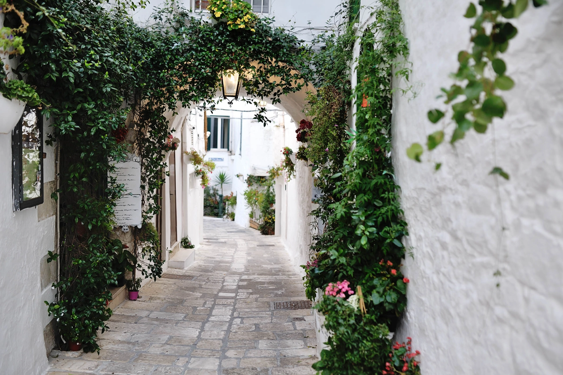 I den hvide by Ostuni