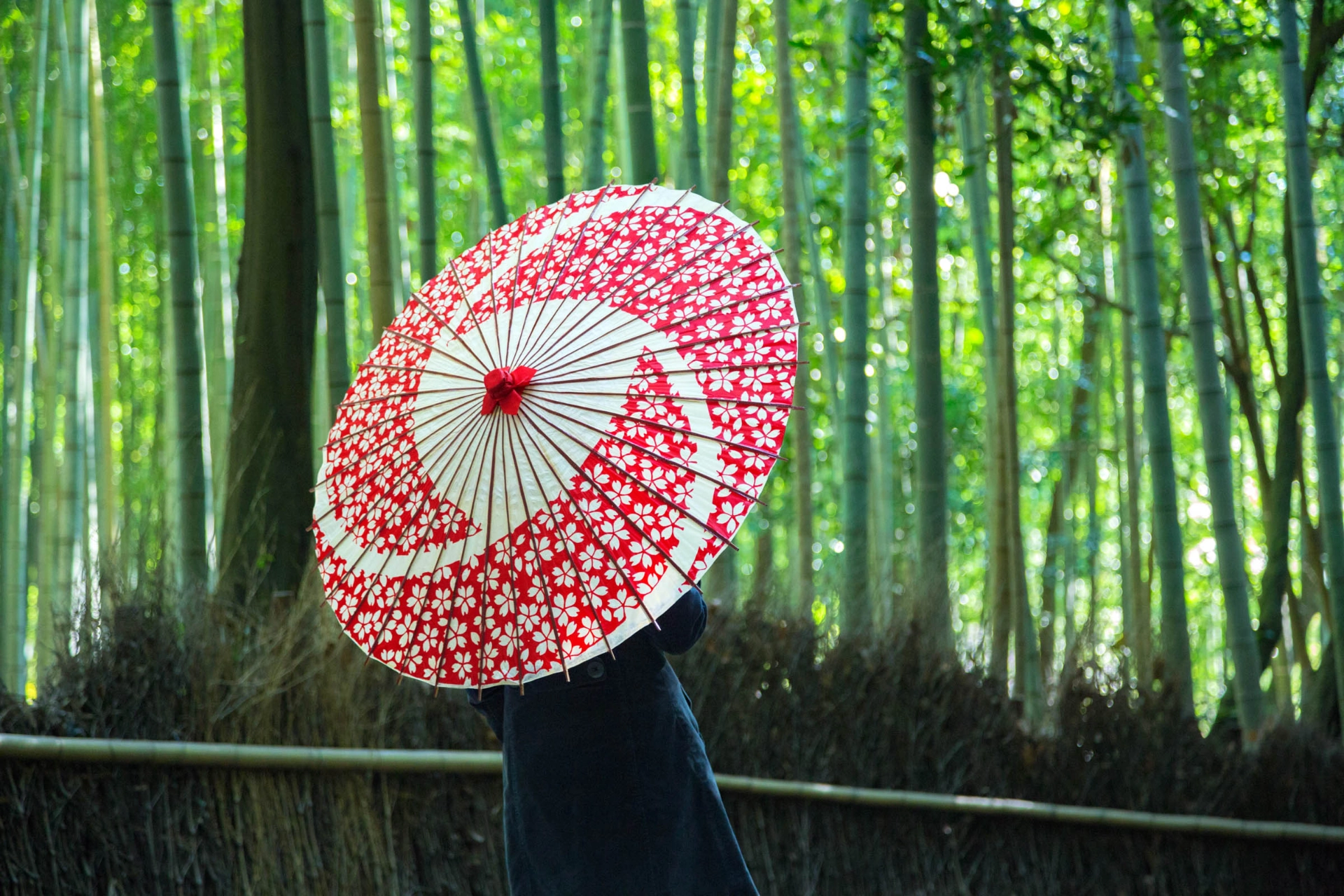Bambusskov i Arashiyama 