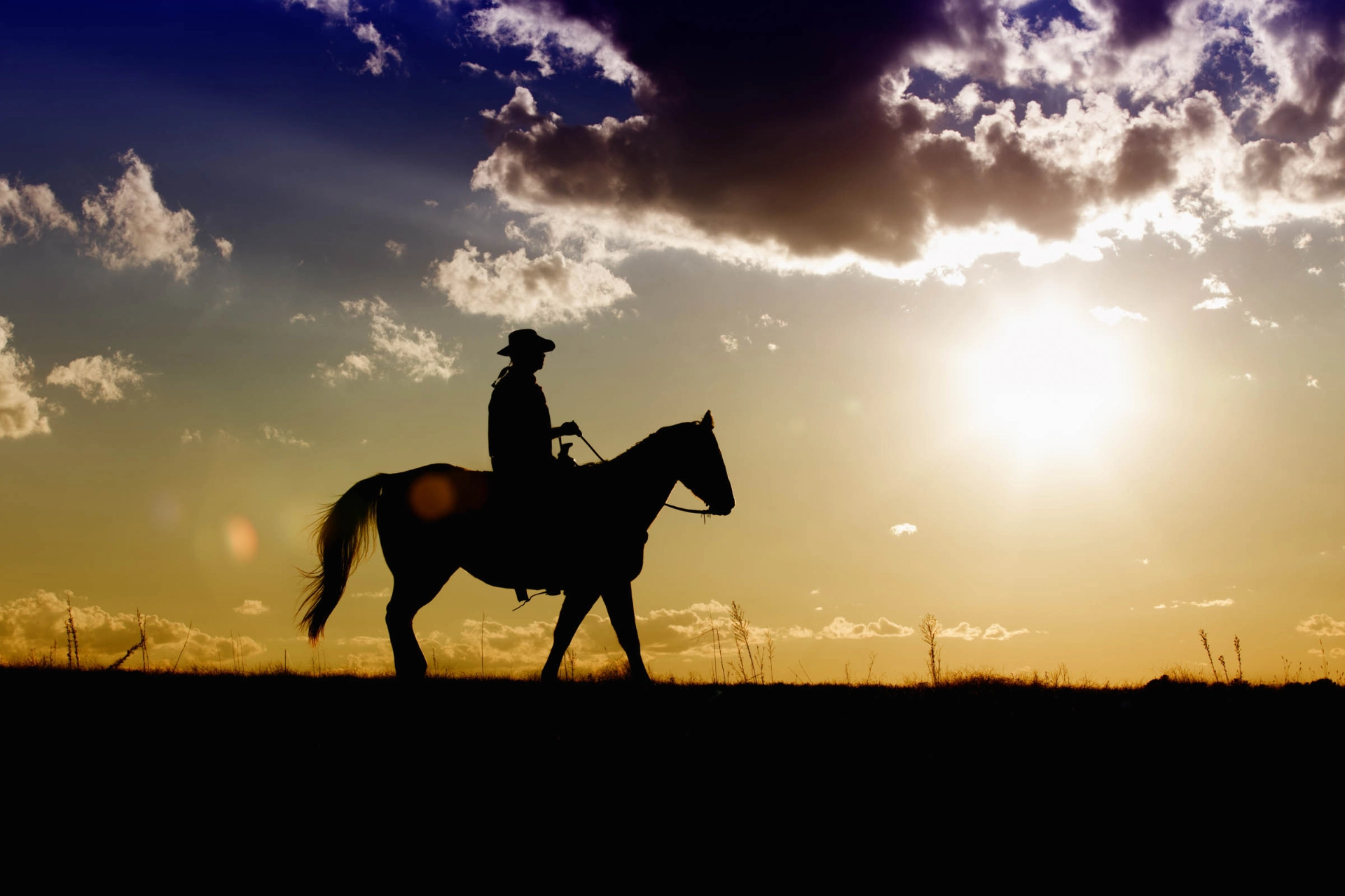 Lonely cowboy