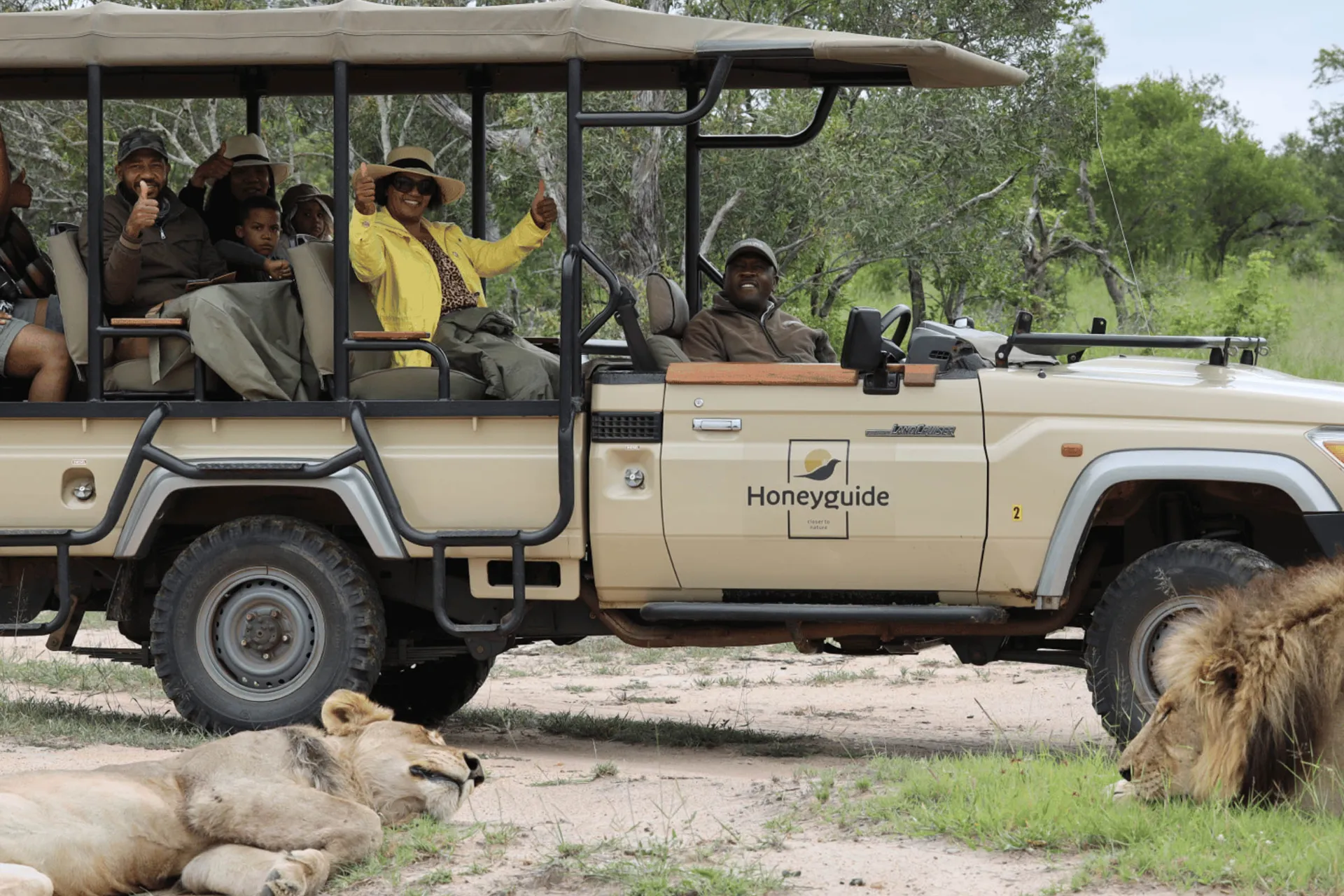 Vi sidder trygt i jeepen mens rangeren fortæller om løven Vi sidder trygt i jeepen mens rangeren fortæller om løven