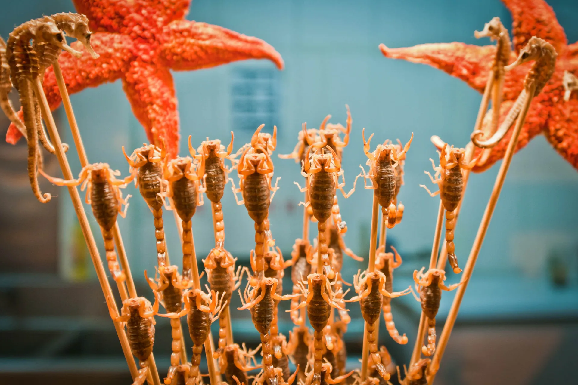 Skorpioner og søstjerner på spyd – kinesisk street food