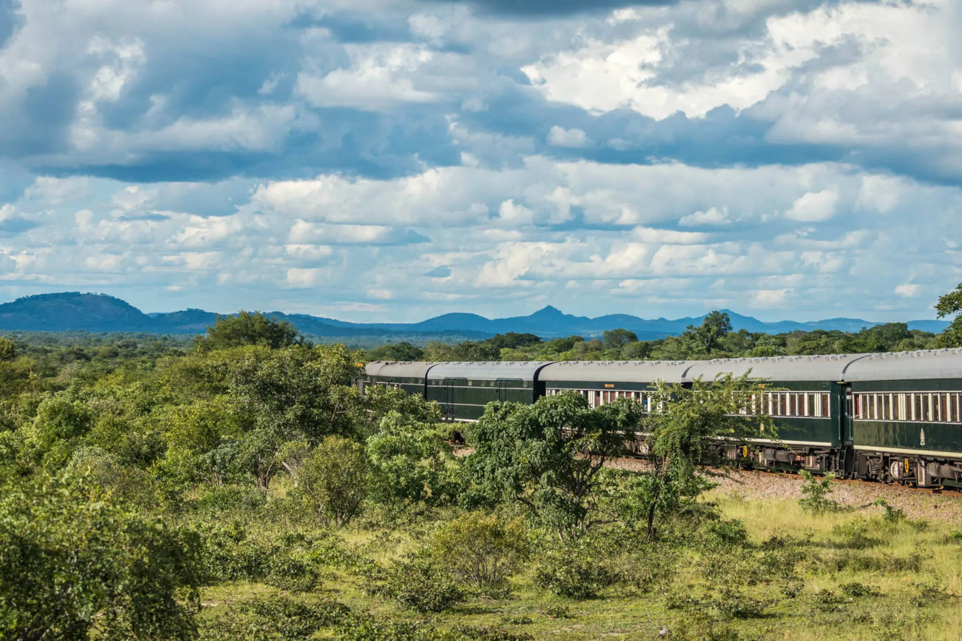 Togets grønne vogne falder godt ind i naturen Togets grønne vogne falder godt ind i naturen