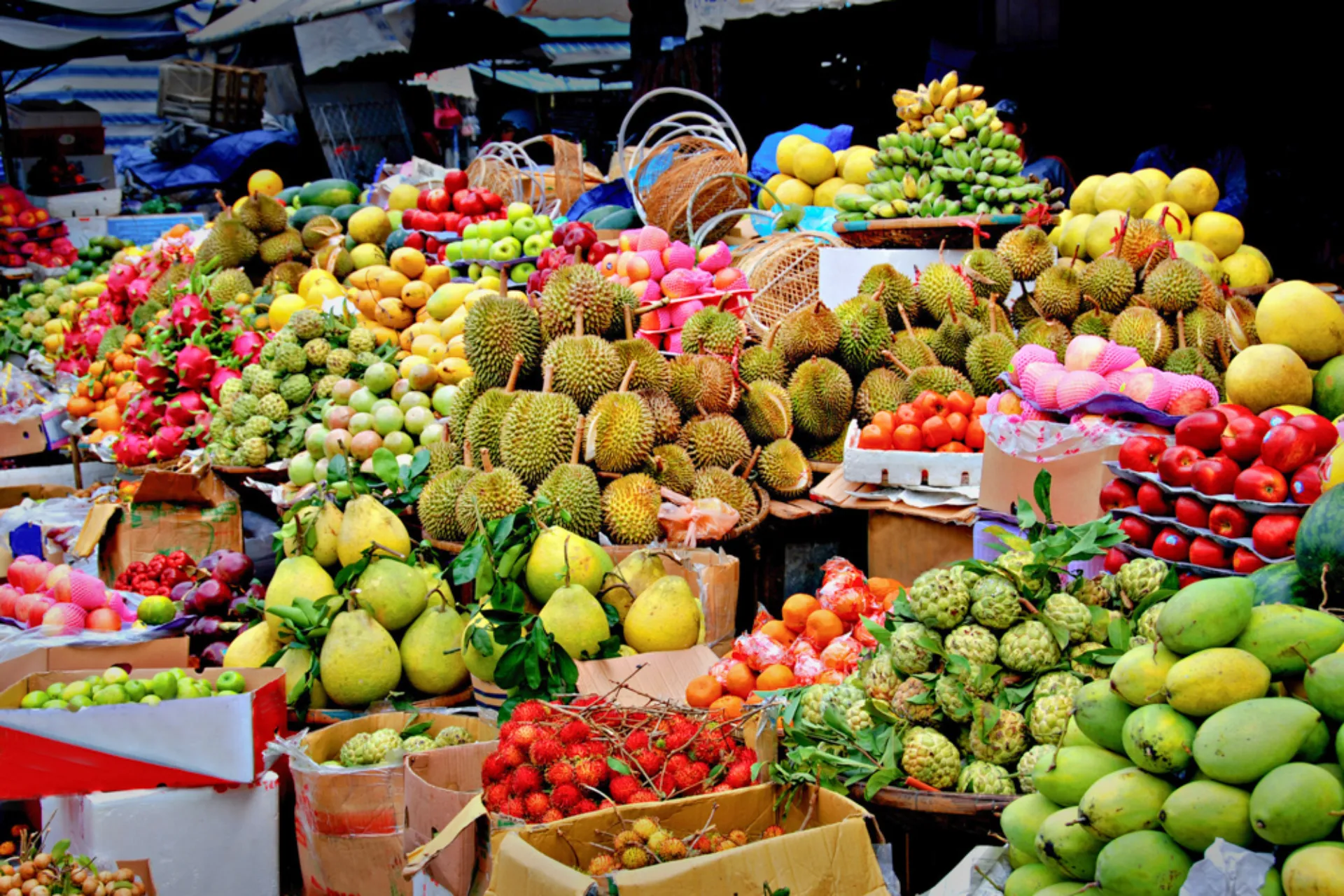 Marked med frugt og grønt i alle farver Marked med frugt og grønt i alle farver