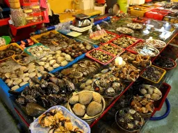 Skaldyrsboder på Jagalchi Fiskemarked i Busan Skaldyrsboder på Jagalchi Fiskemarked i Busan