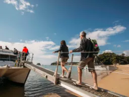 Ud på eventyr i Abel Tasman National Park Ud på eventyr i Abel Tasman National Park