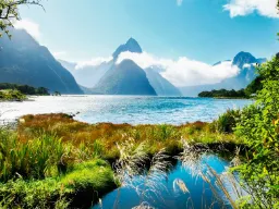 Milford Sound i Fiordland National Park med Mitre Peak i baggrunden