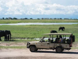 Elefanter, elefanter, elefanter…