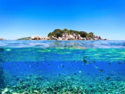 Over og under vandet