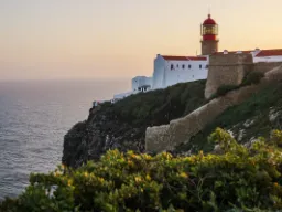 Korkpropper – et klassisk portugisisk naturprodukt