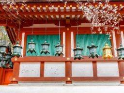 Shintohelligdommen Kasuga Taisha I Nara