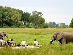 Afslappet scene fra jeepen