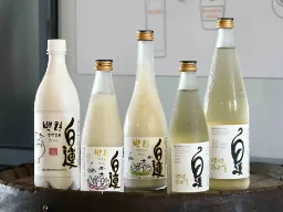 Shinpyeong Brewery i Dangjin – kendt for sin traditionelle makgeolli, en koreansk risvin brygget efter gamle metoder Shinpyeong Brewery i Dangjin – kendt for sin traditionelle makgeolli, en koreansk risvin brygget efter gamle metoder