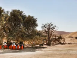 Morgenmad i Sossusvlei Morgenmad i Sossusvlei